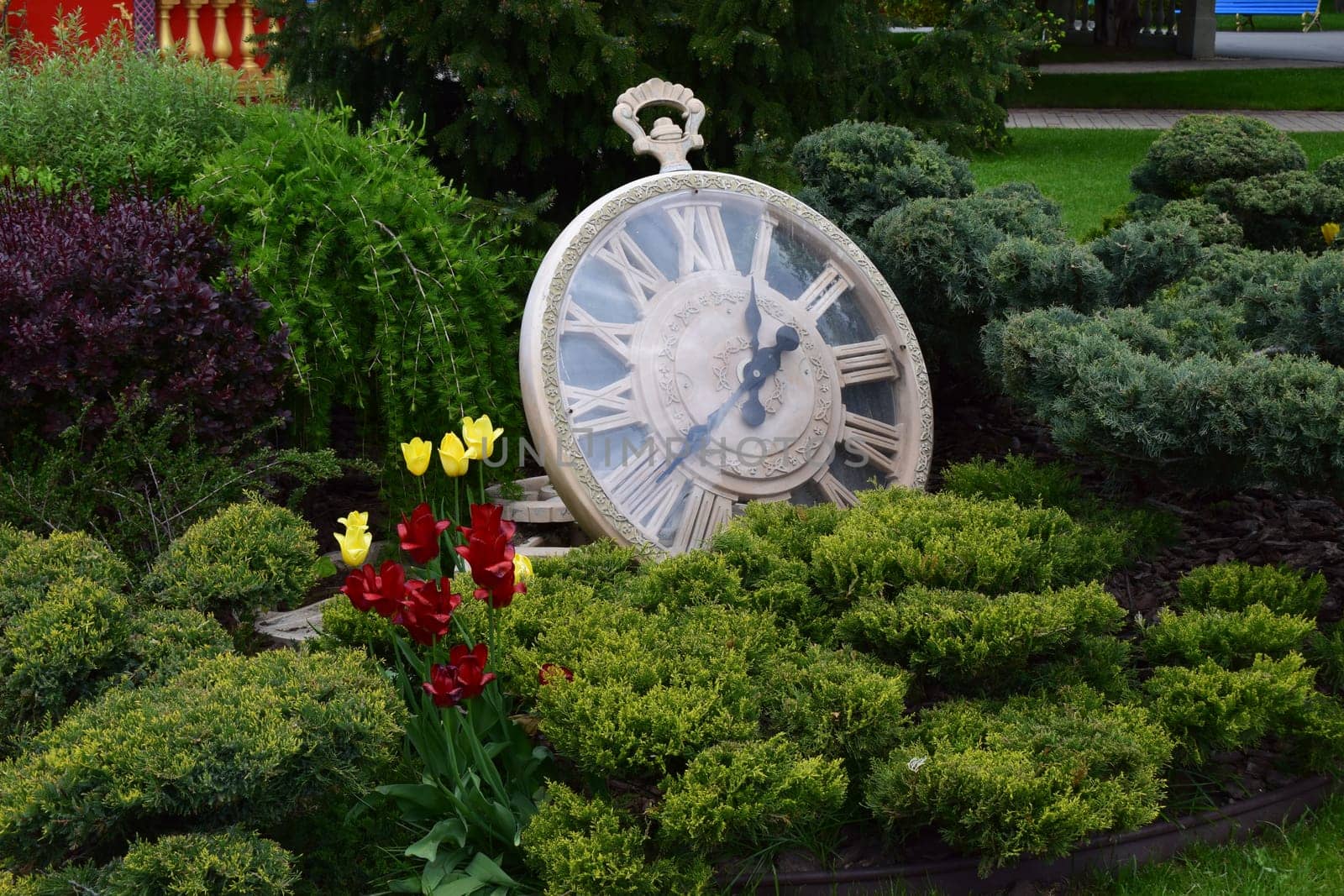 Kharkov, Ukraine, 14 May 2024. A large decorative pocket watch resting among bushes. The clock has Roman numerals and black hands. There are yellow and red flowers in the foreground along with lush green vegetation