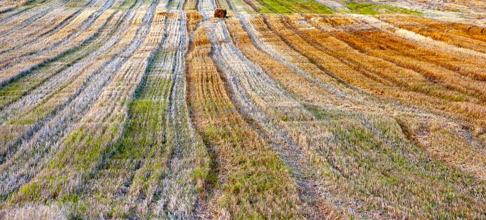 As the day wanes, the landscape reveals a tapestry of harvested fields adorned with stripes of varied hues, ranging from deep greens to golden browns. The undulating lines created by the farming process form an intricate design across the terrain.