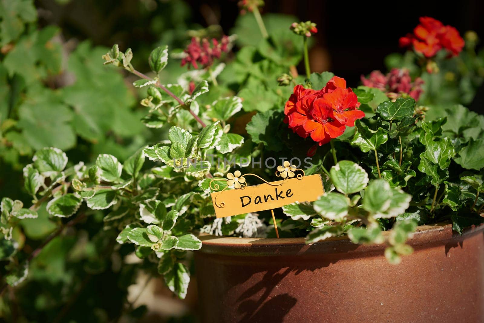 Flowers as a gift with a sign with the German inscription danke, Thank you