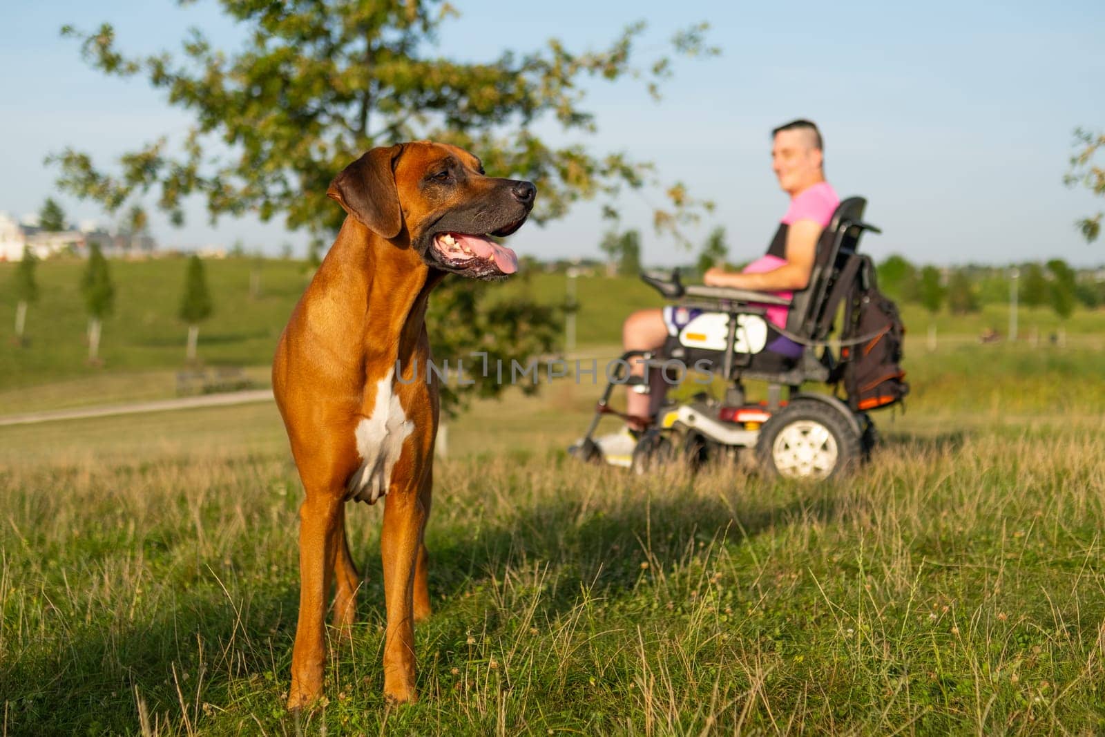 Happy young man with a physical disability in the wheelchair and his dog