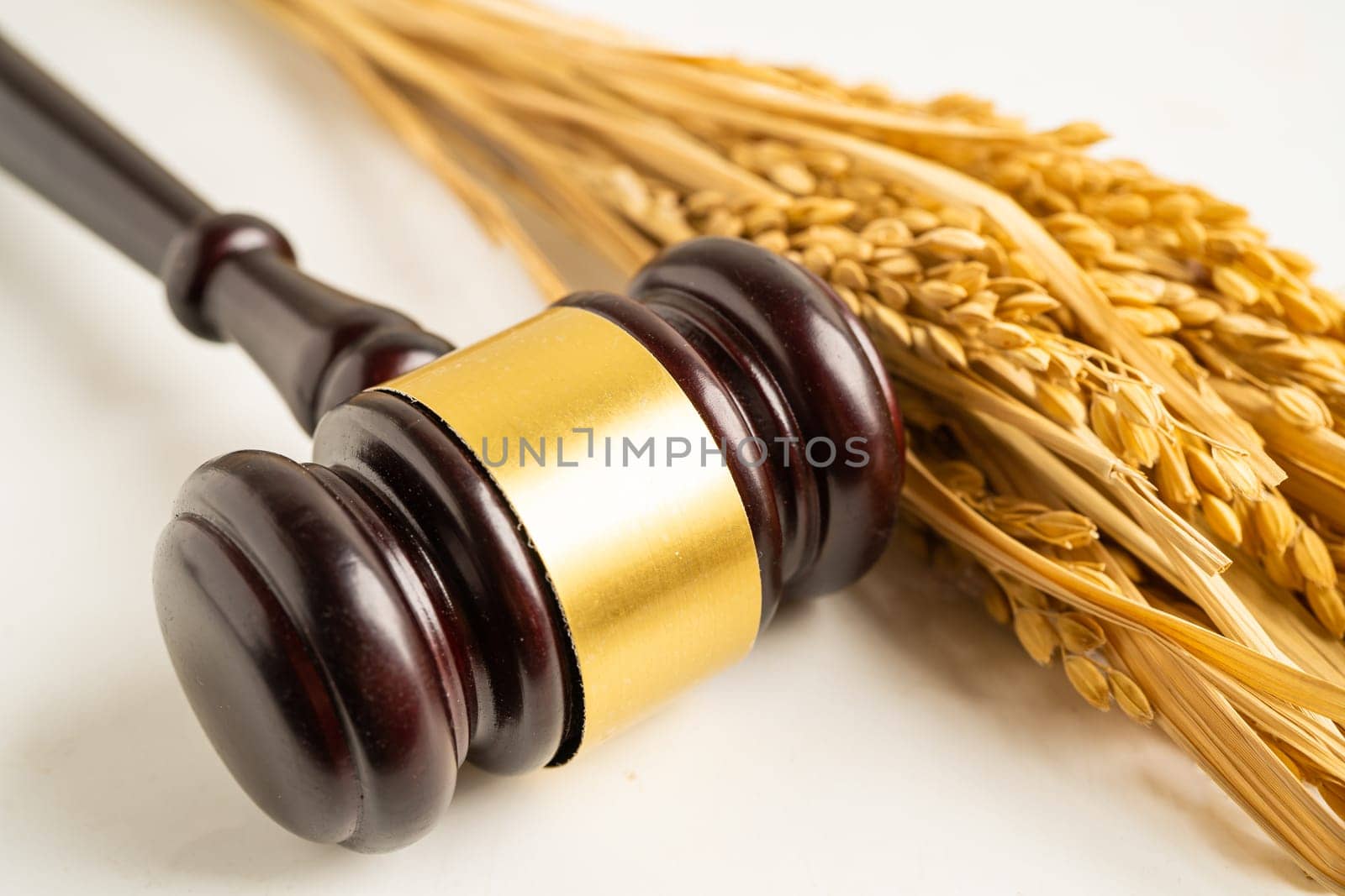 Judge gavel hammer with good grain rice from agriculture farm. Law and justice court concept. by pamai