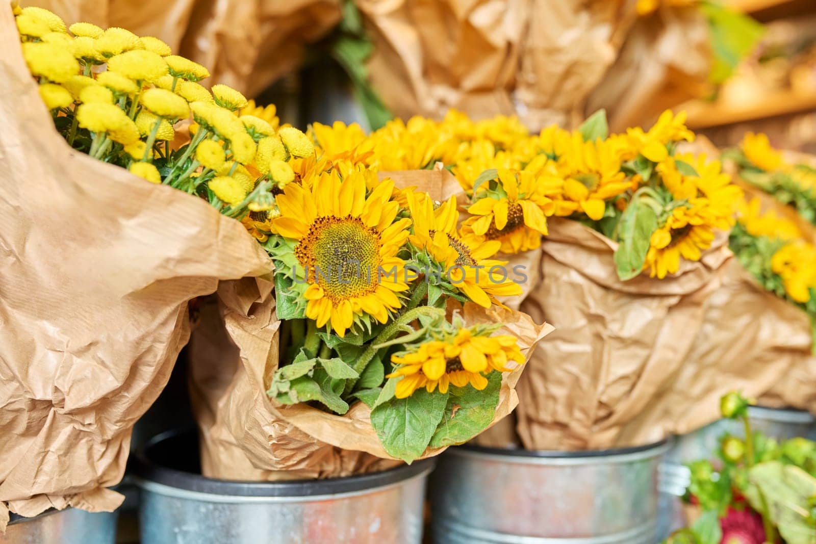 Flower shop, close-up of fresh flowers in buckets, yellow decorative sunflowers by VH-studio