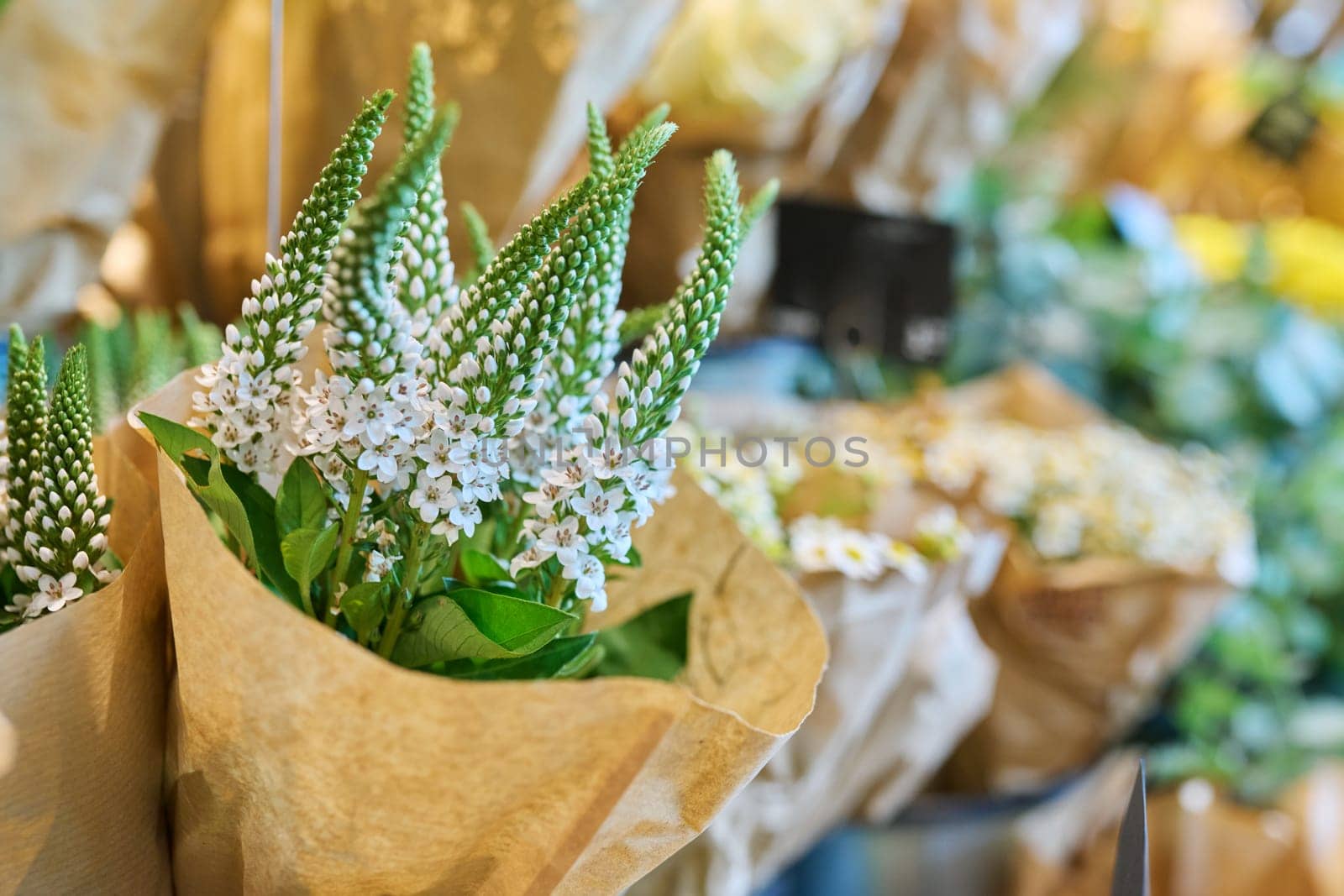 Flower shop, close-up of fresh flowers in buckets, white loosestrife. Floristics, small business, flower decoration of apartments, houses, offices, gifts for holidays, summer autumn season