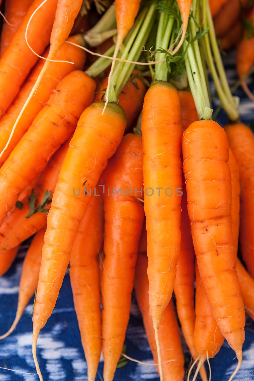 A close up display of fresh carrots on display.