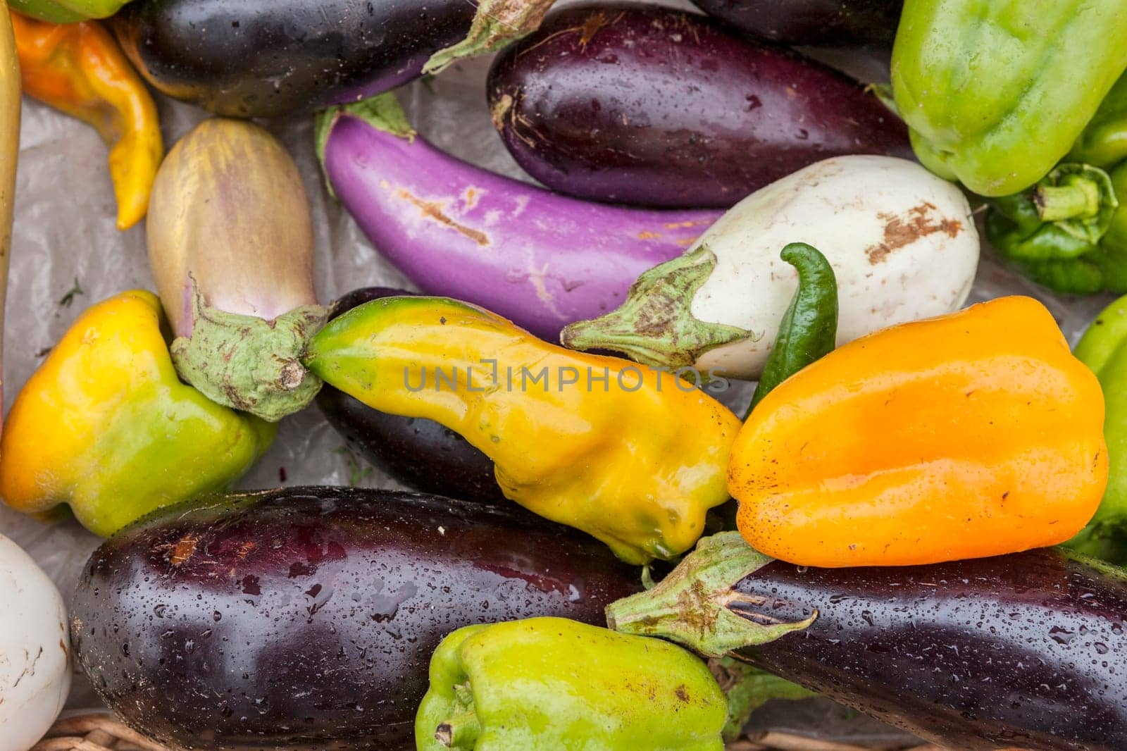 An assortment of peppers and eggplants on display.