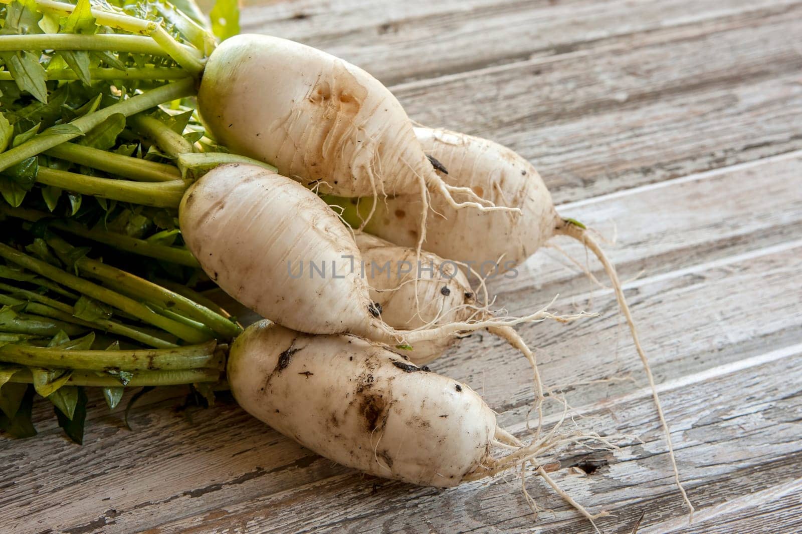 Several large chinese radishes displayed on wood.