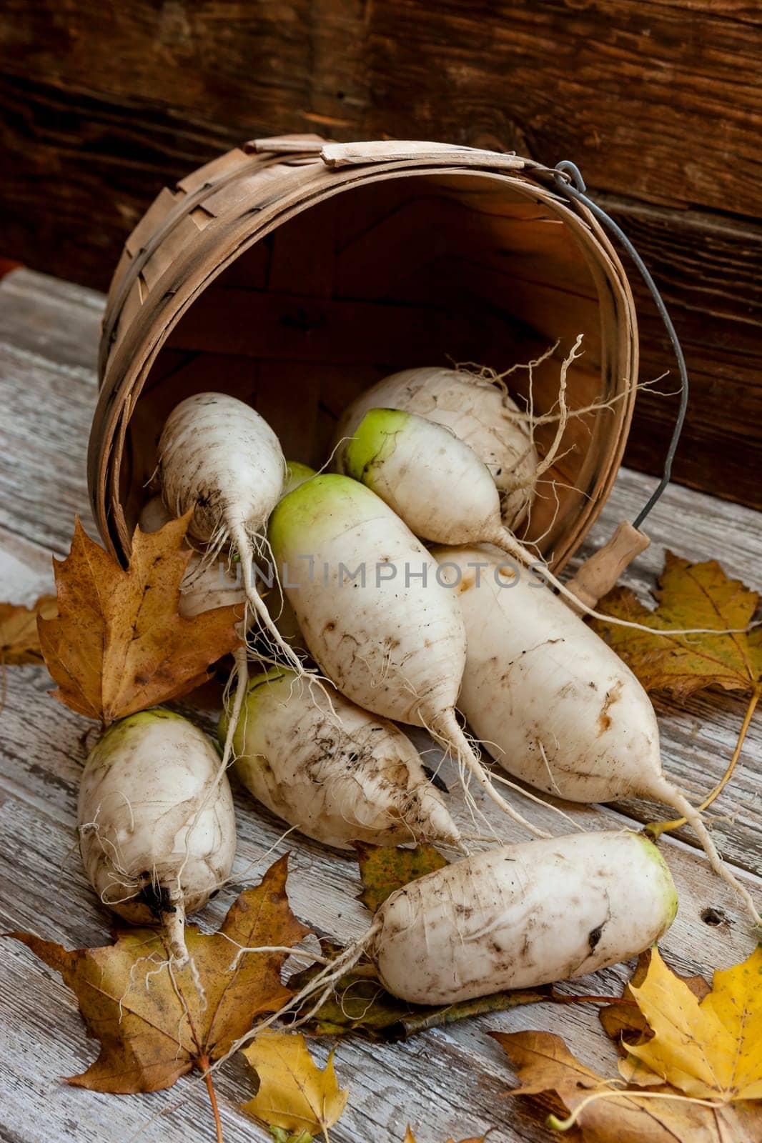 A close up concept image of chinese radishes in a basket.