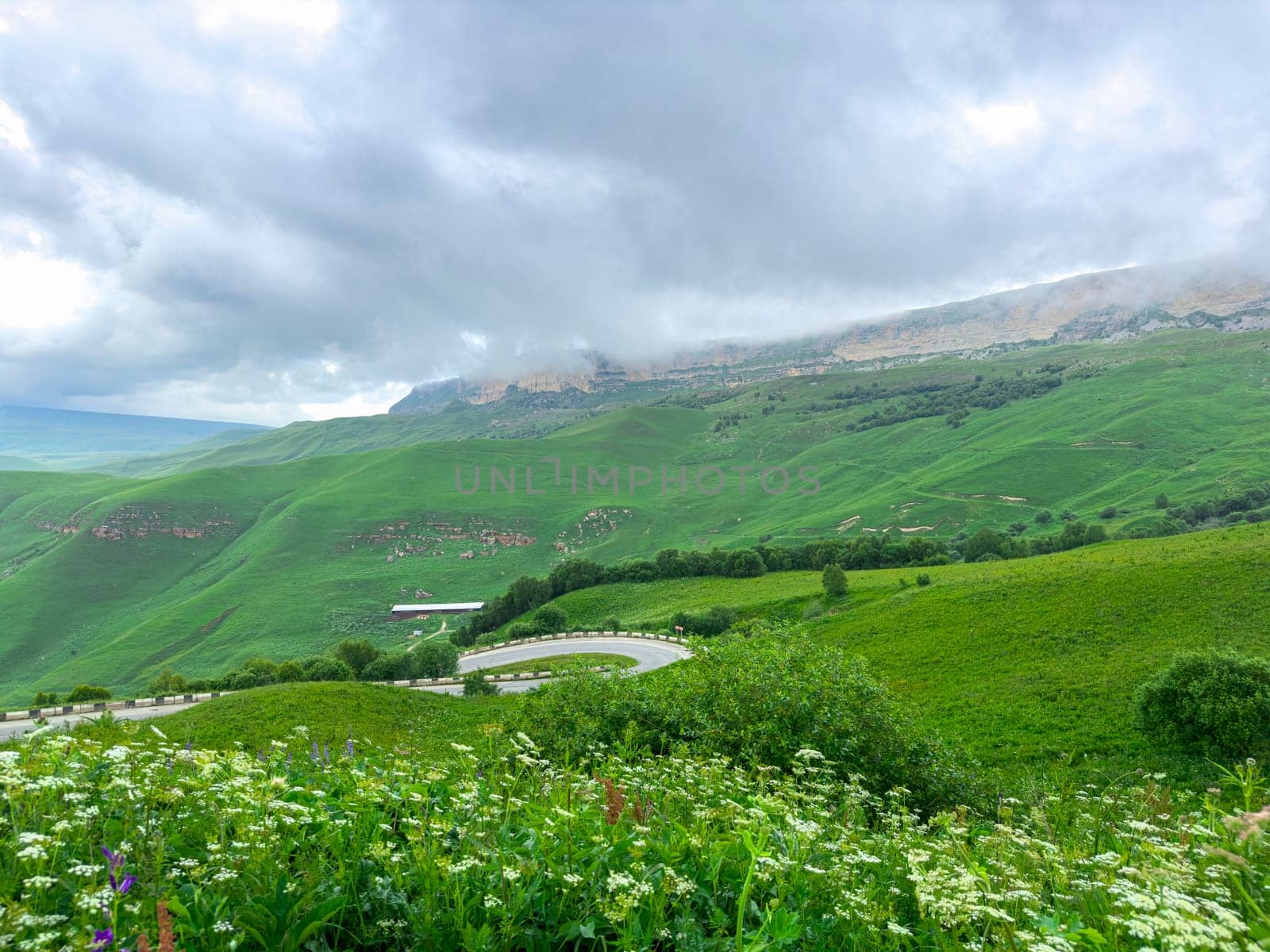 Lush green hills stretch across the landscape, dotted with wildflowers, as dark clouds loom over the distant mountain range on a tranquil day.
