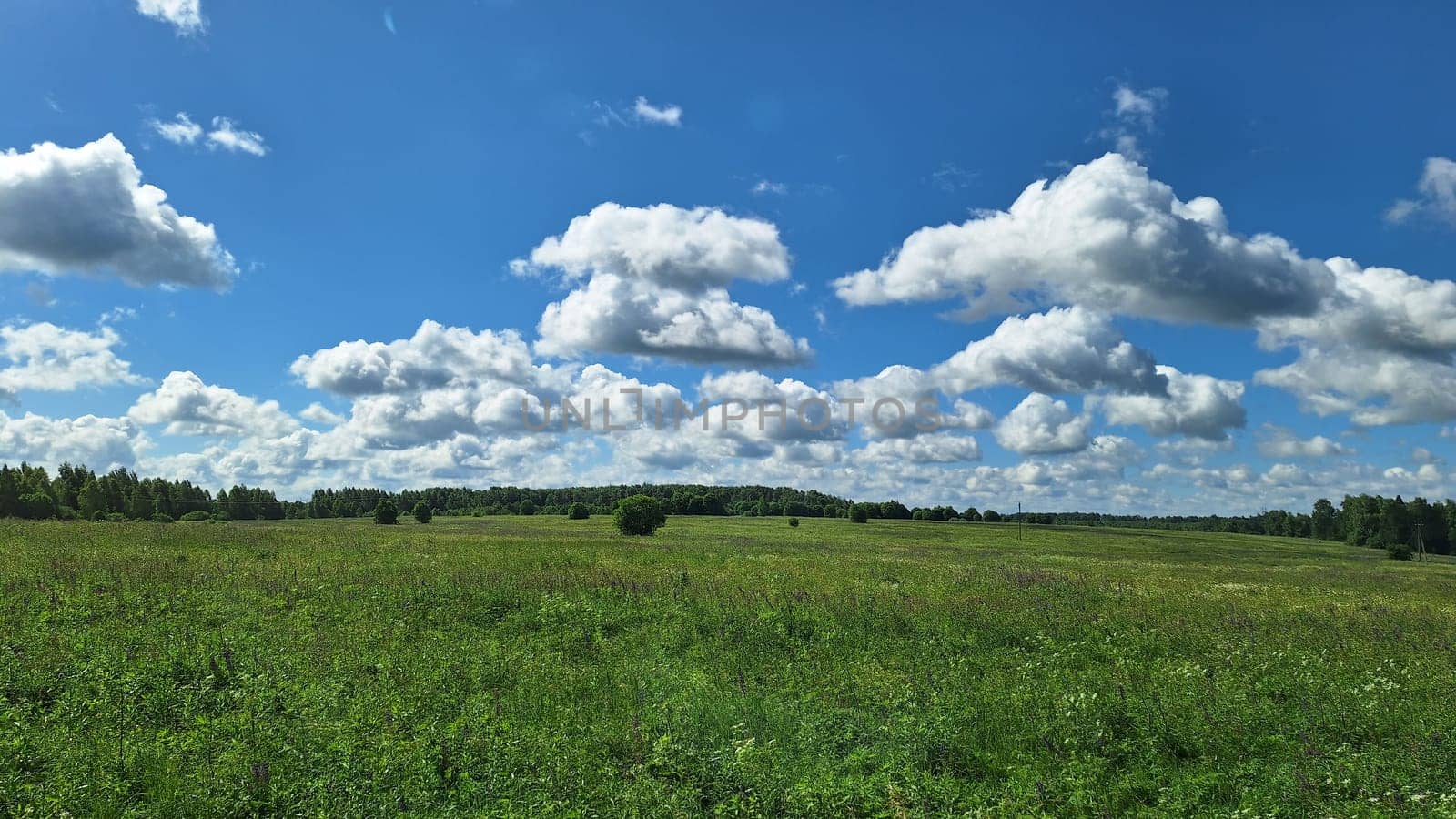 Expansive green meadow under a blue sky with fluffy clouds.