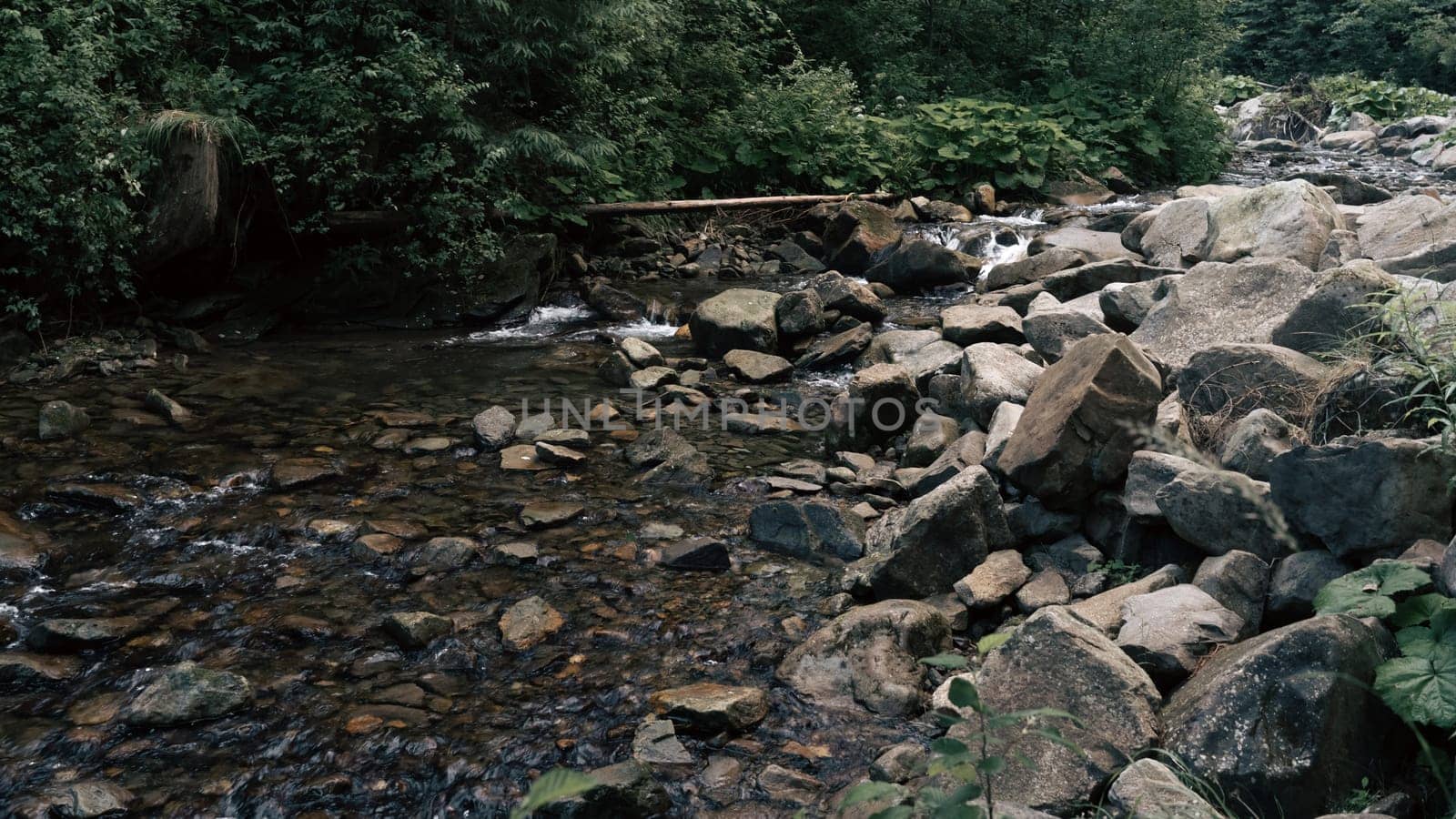 The stream carves a path through the forest, cascading over stones and creating a peaceful atmosphere. The rich, green foliage frames the natural beauty of the scene.
