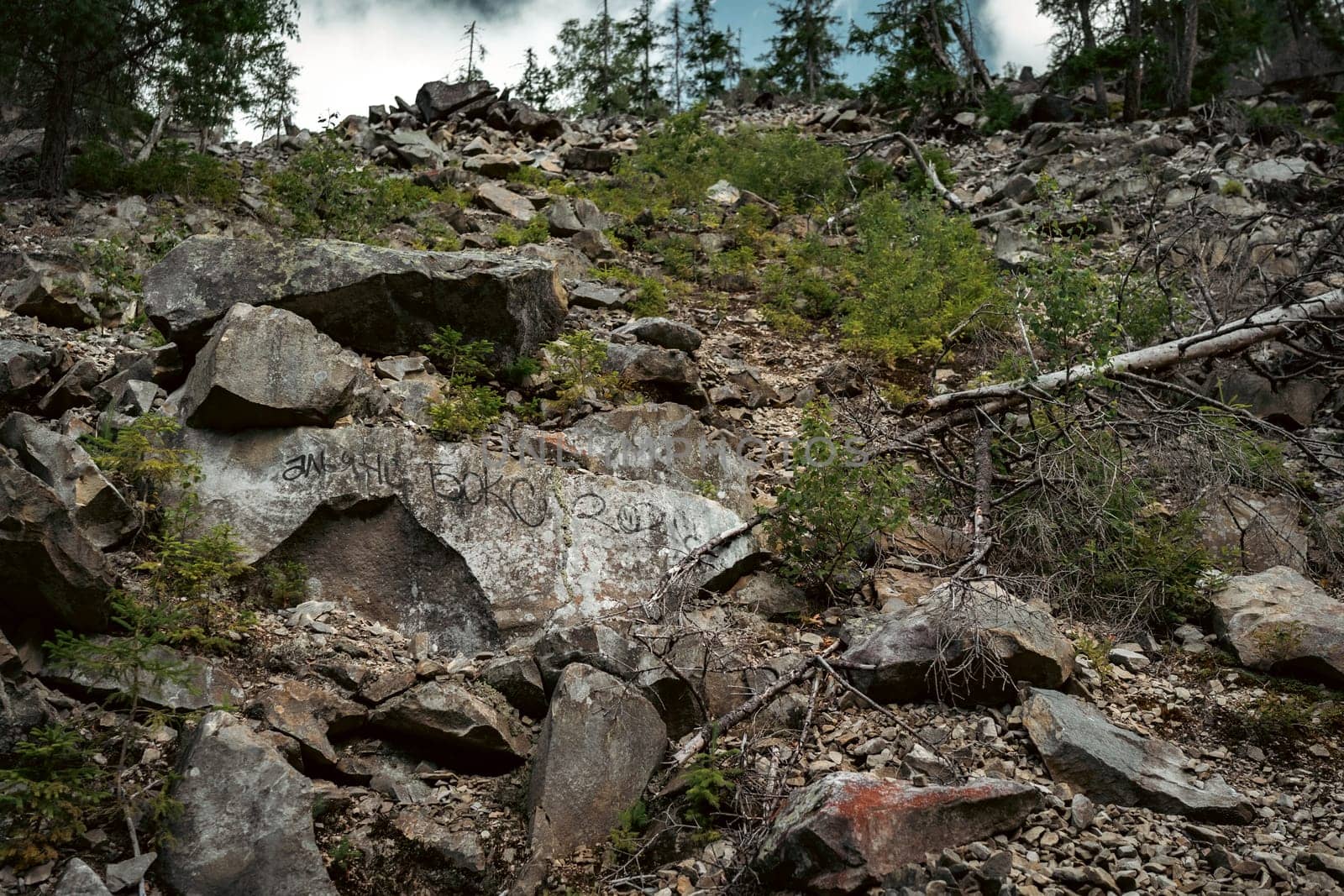 Rocky mountain trail winding through the forest. High quality photo