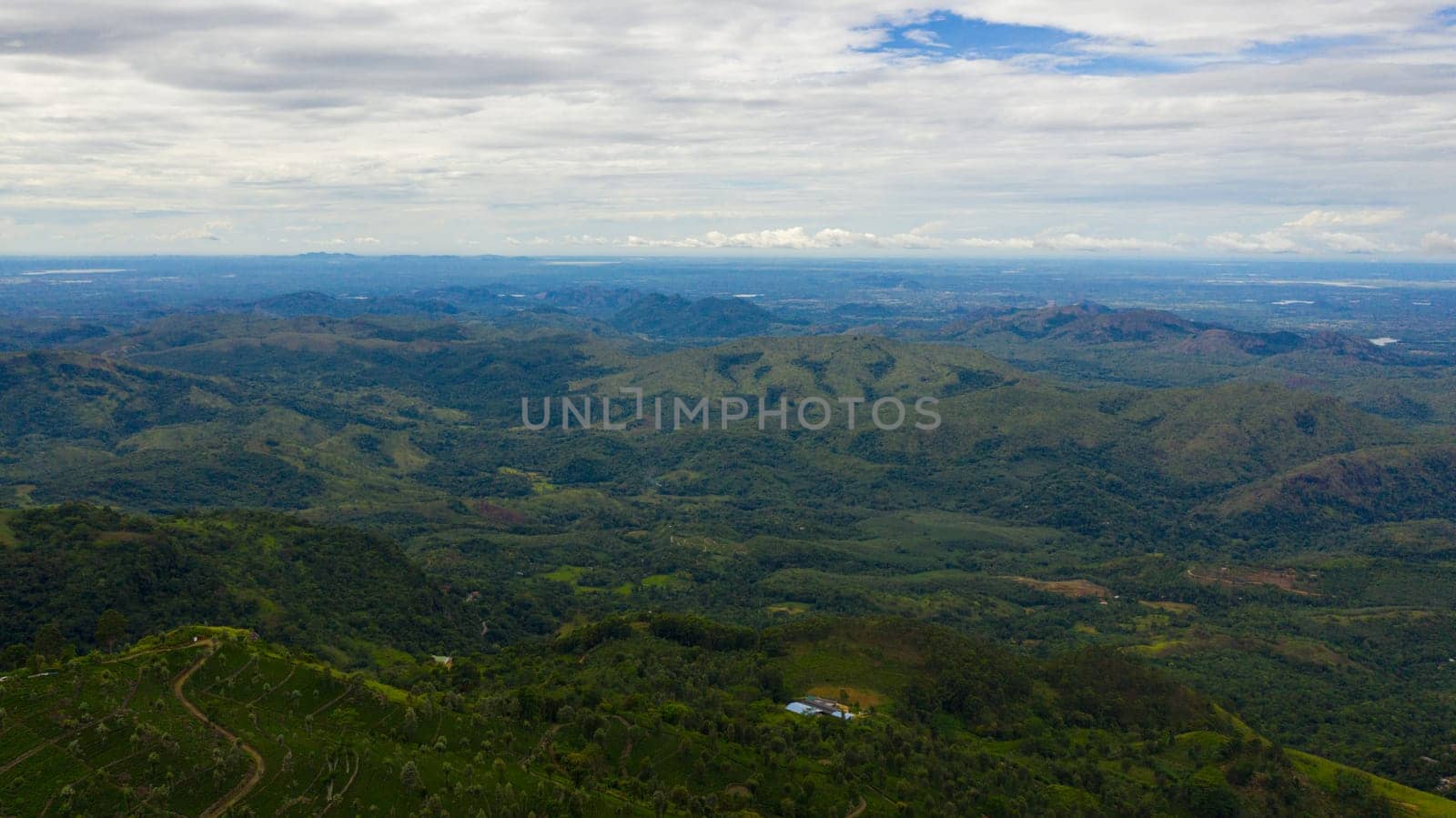 Mountains with rainforest and jungle in the mountainous province of Sri Lanka.