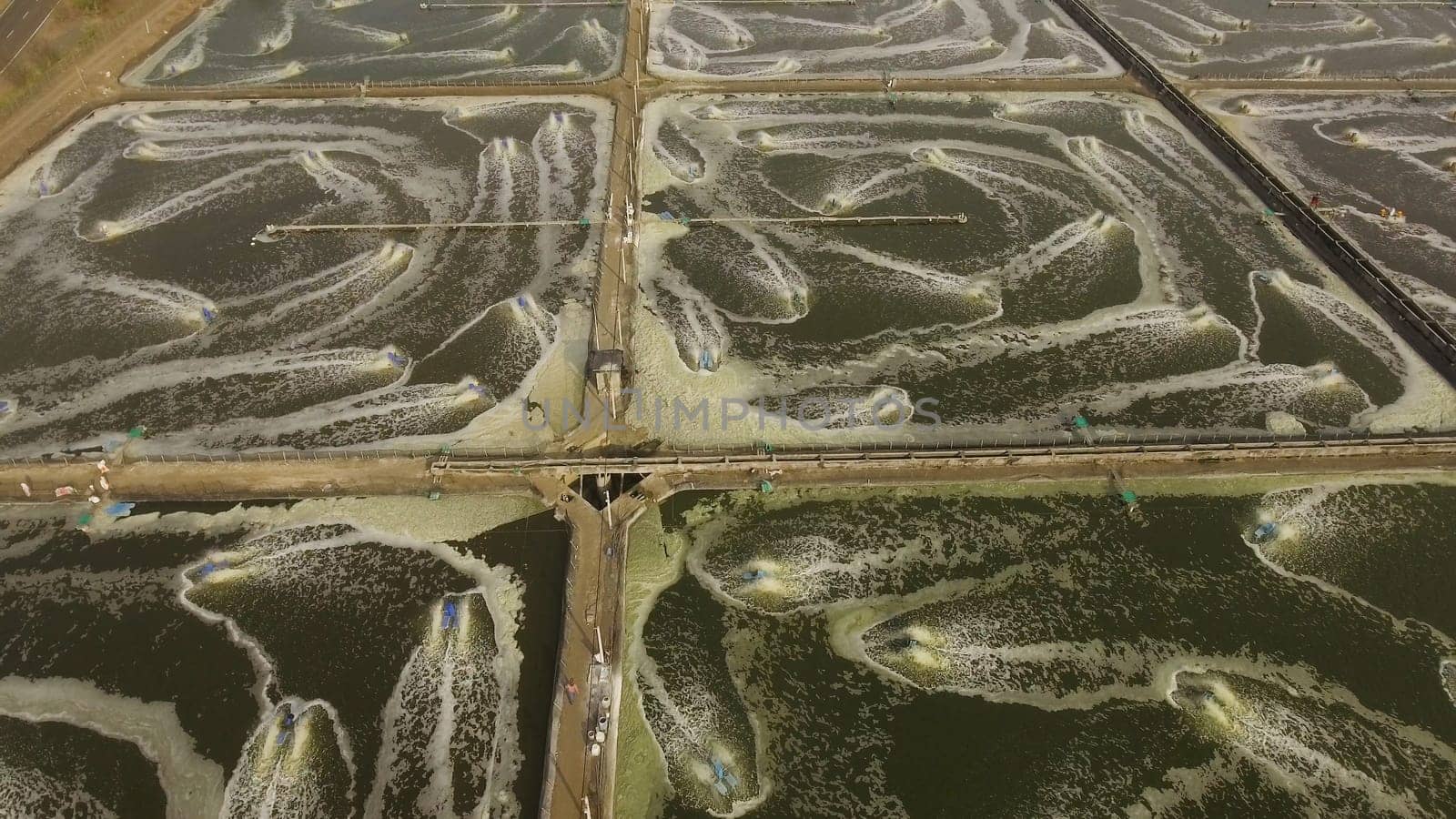 shrimp, prawn farming with with aerator pump for oxygenation water. Shrimp farms aerial view aquaculture business exported international market. java, indonesia