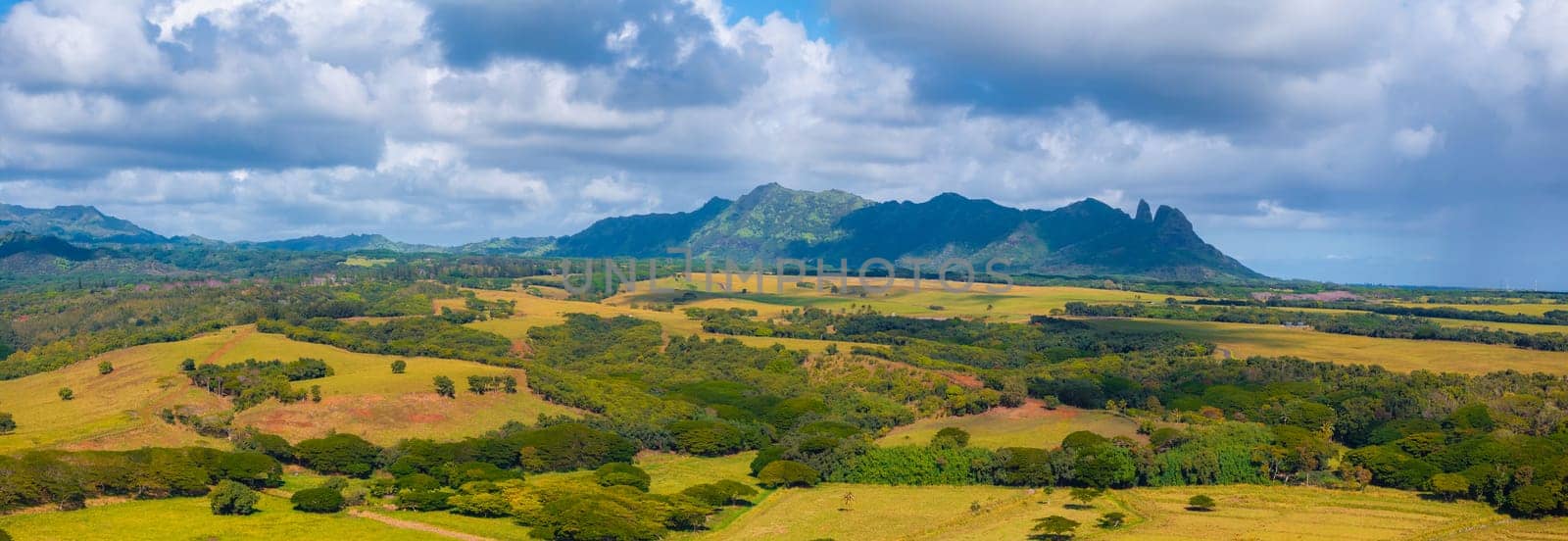 A vibrant aerial view of Kauai Island, Hawaii, showing green fields, tree clusters, rolling hills, and the rugged Napali cliffs under soft sunlight.