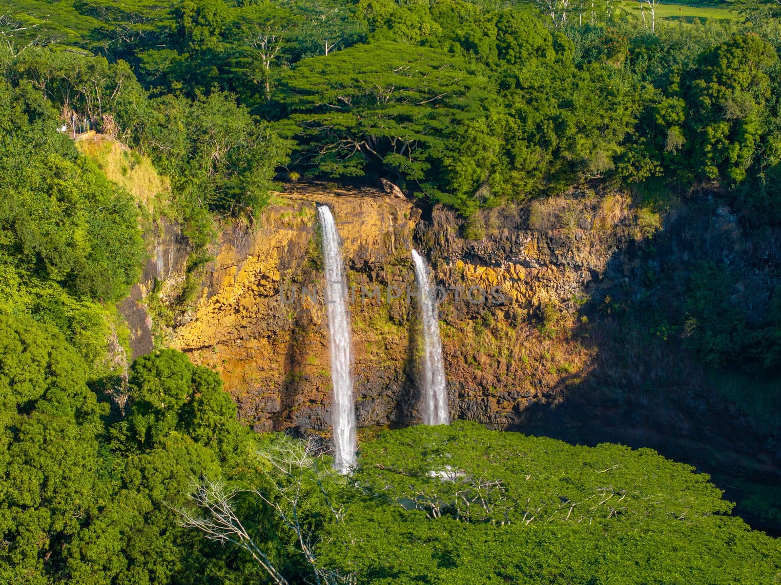 Twin waterfalls of Wailua Falls cascade over a golden brown cliff, surrounded by lush tropical vegetation under bright sunlight in Kauai, Hawaii.