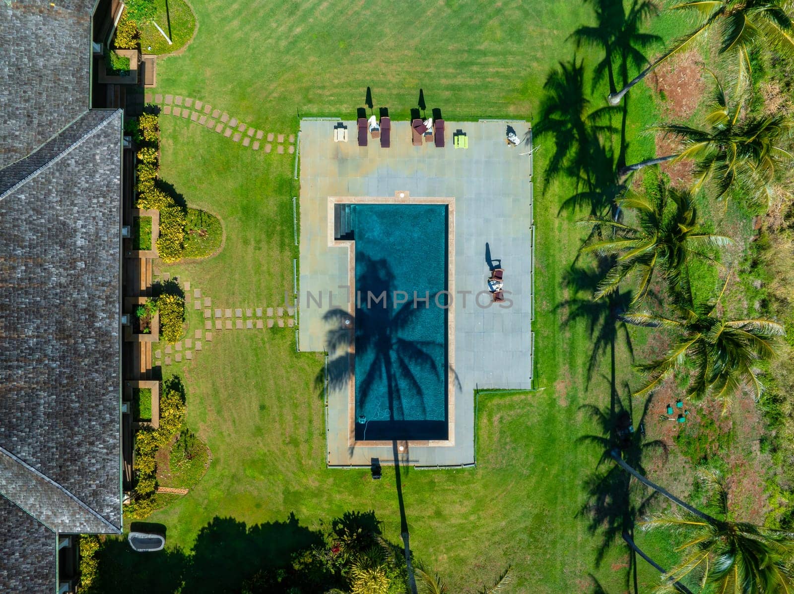 Luxury pool with lounge chairs, umbrellas, and palm tree shadows, surrounded by a lawn and greenery on Kauai island.
