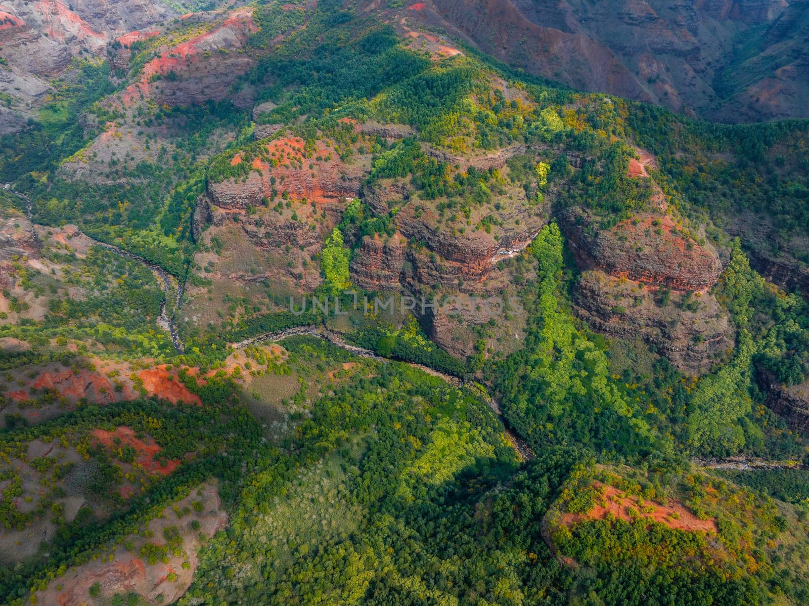 Aerial view of Waimea Canyon on Kauai island, Hawaii, showcasing red hued cliffs, dense green vegetation, and a winding river through the canyon floor.