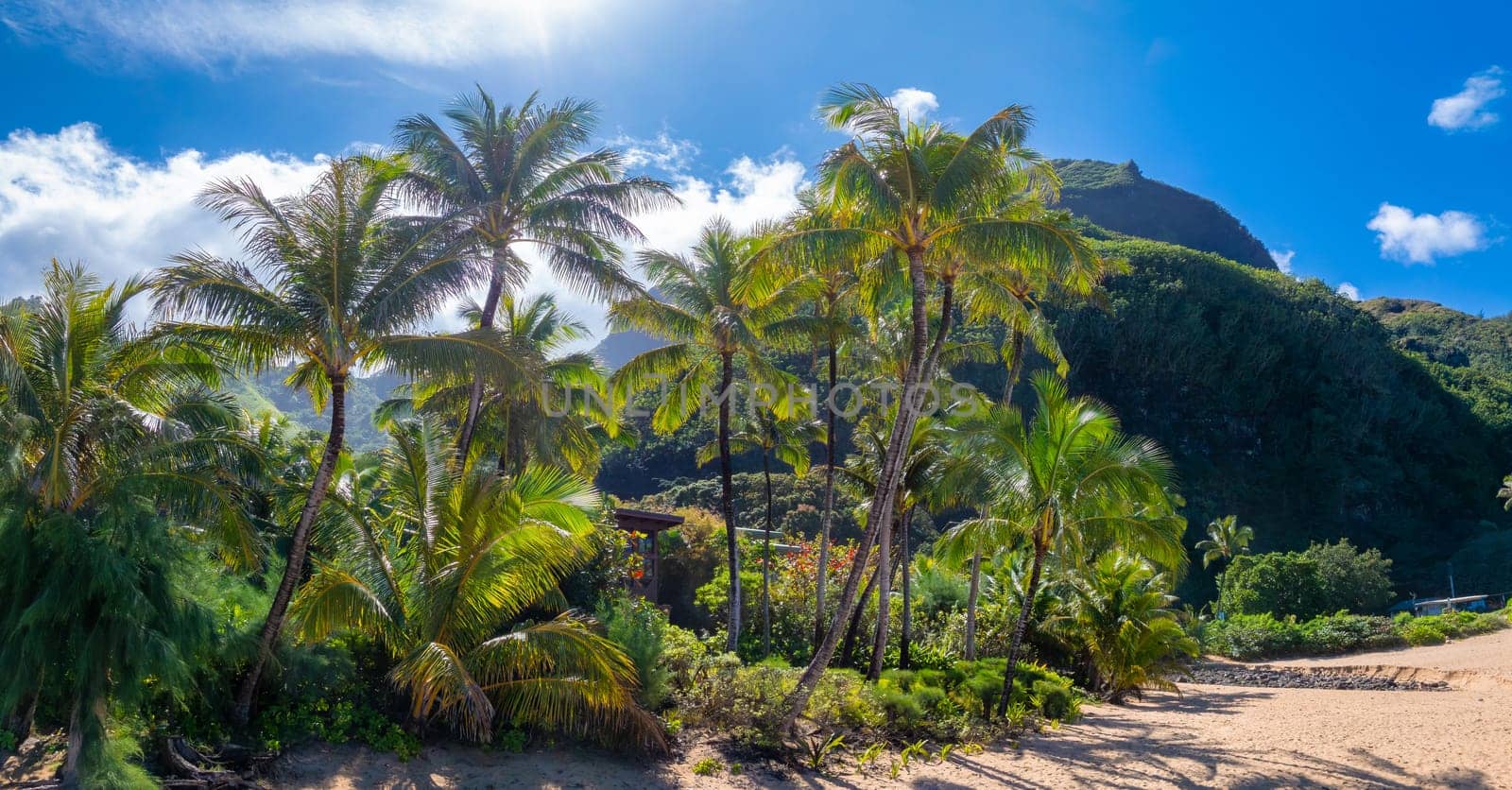 Lush green palm trees frame a sandy beach on Kauai island, Hawaii, with steep Napali Coast cliffs in the background under a bright blue sky.