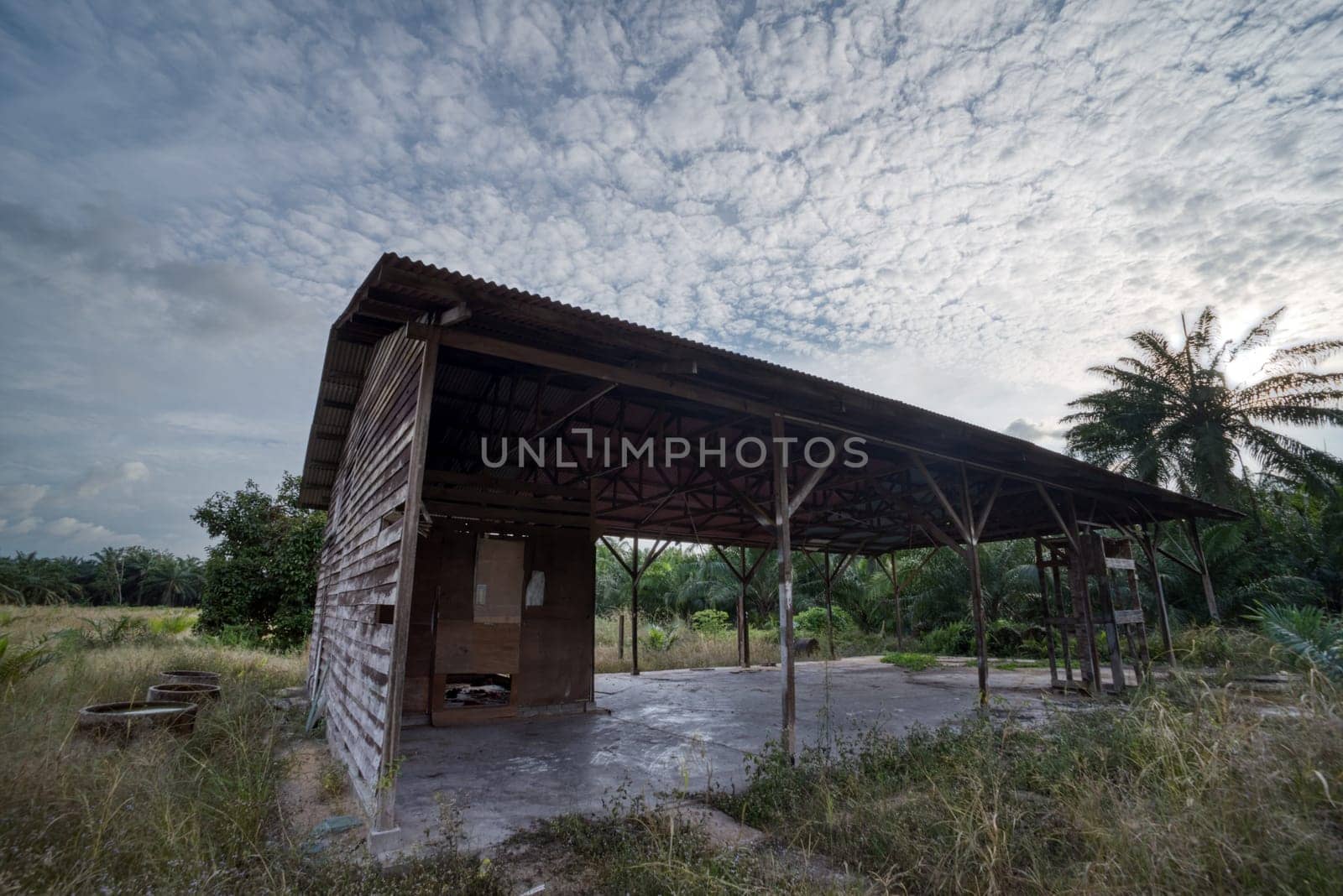 image around a vacant dilapidated house stands alone at the plantation