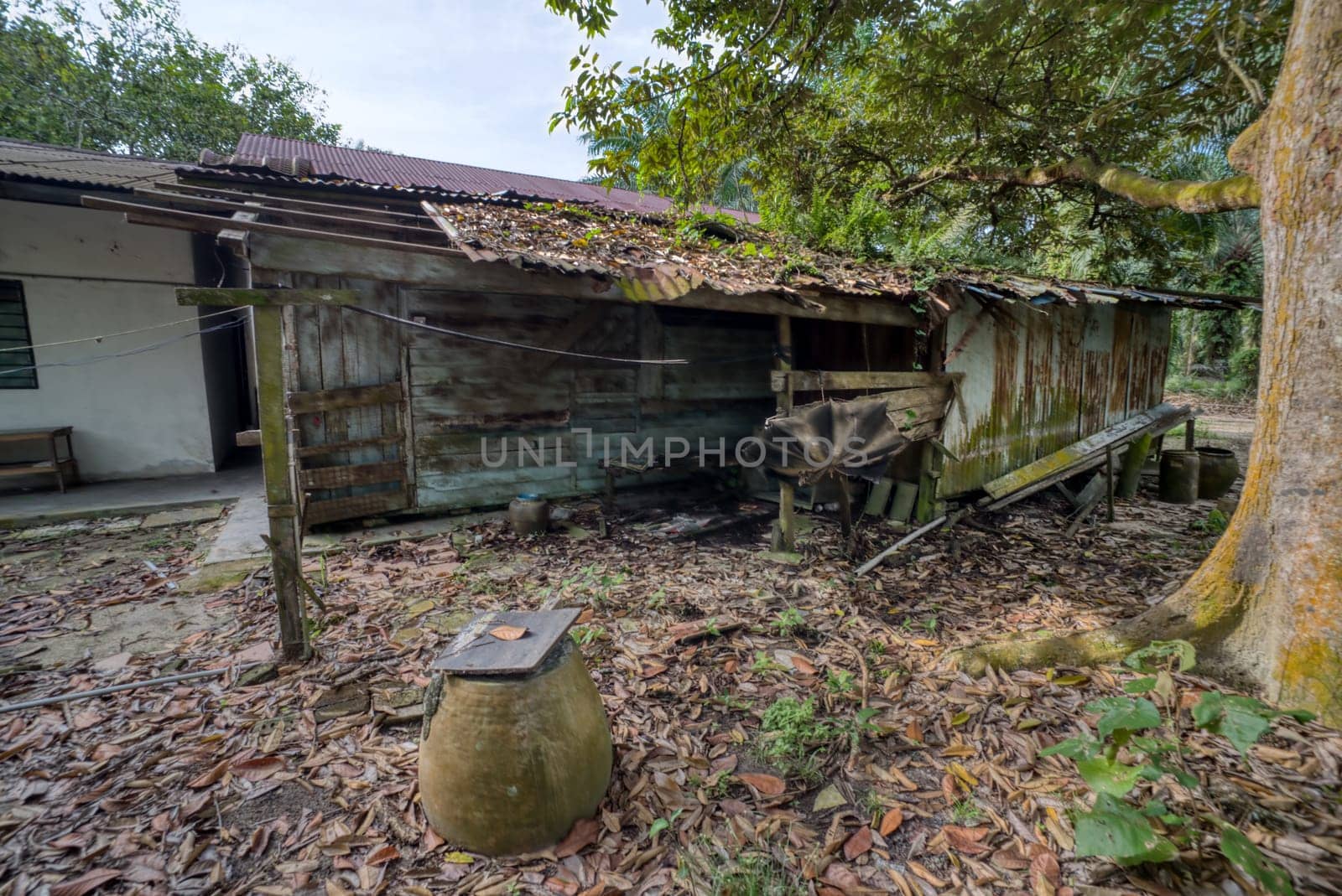 image around a vacant dilapidated house stands alone at the plantation