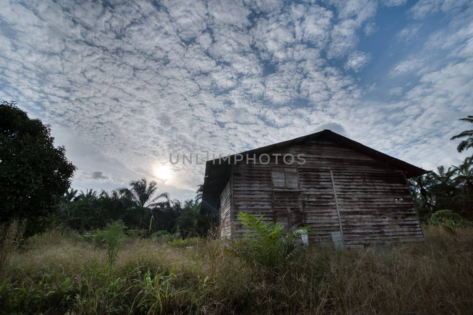 image around a vacant dilapidated house stands alone at the plantation