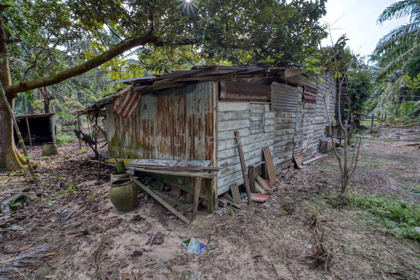 image around a vacant dilapidated house stands alone at the plantation