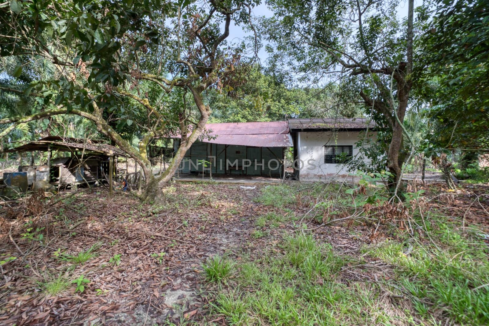 image around a vacant dilapidated house stands alone at the plantation