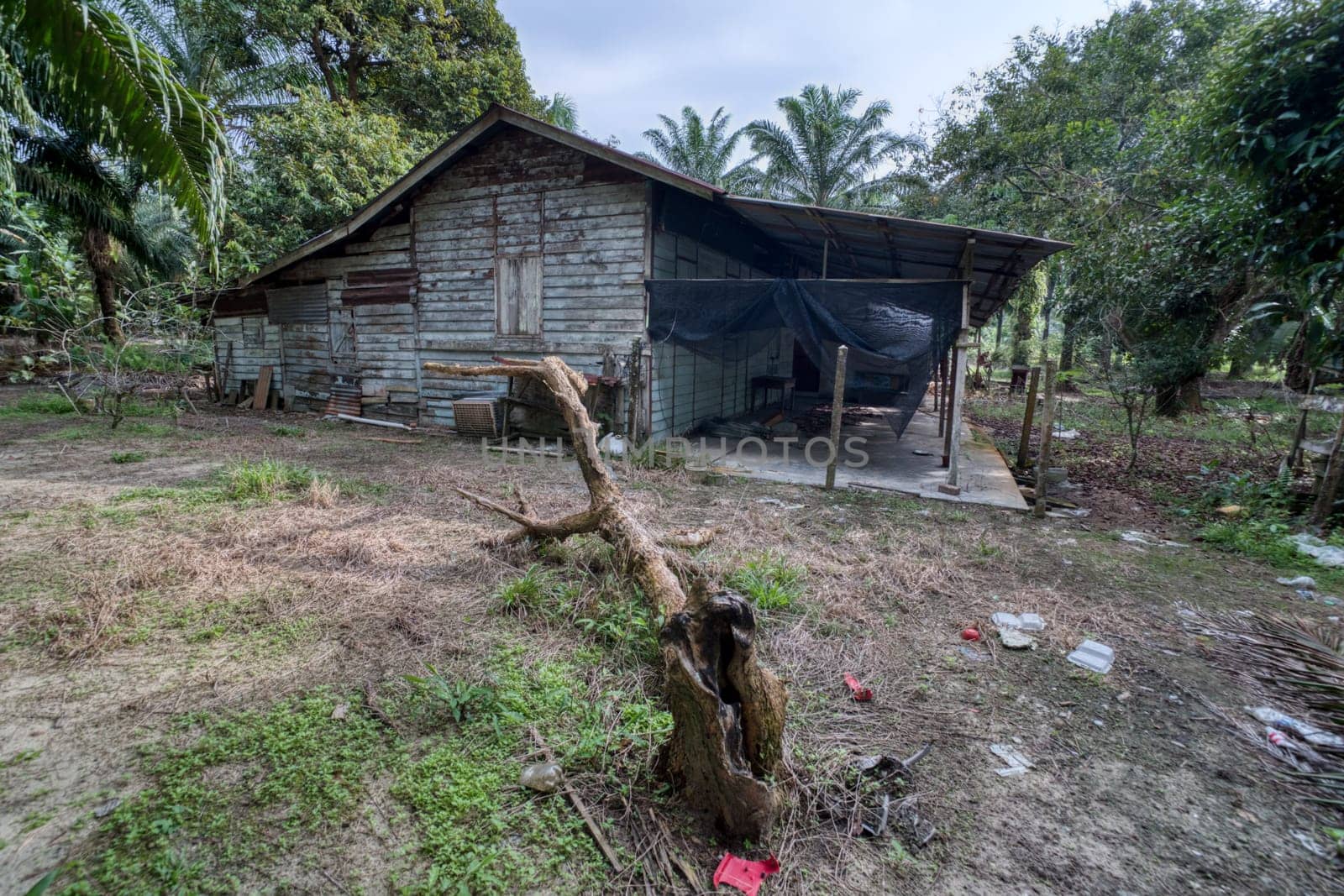 image around a vacant dilapidated house stands alone at the plantation