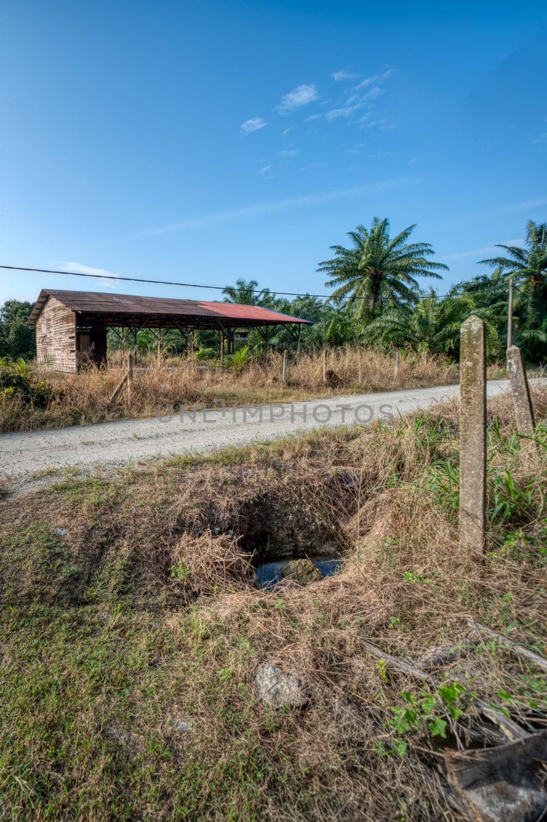 image around a vacant dilapidated house stands alone at the plantation