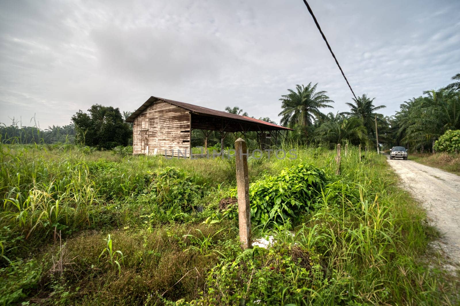 image around a vacant dilapidated house stands alone at the plantation