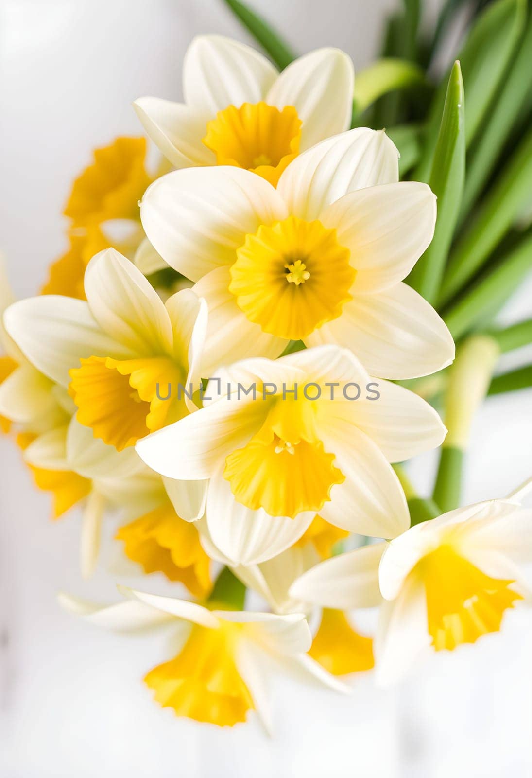 flowers daffodils spring bouquet green nature flora Easter holiday women's day yellow white plants botanical garden species variety petals bud stamens. High quality 3d illustration generated ai alt
