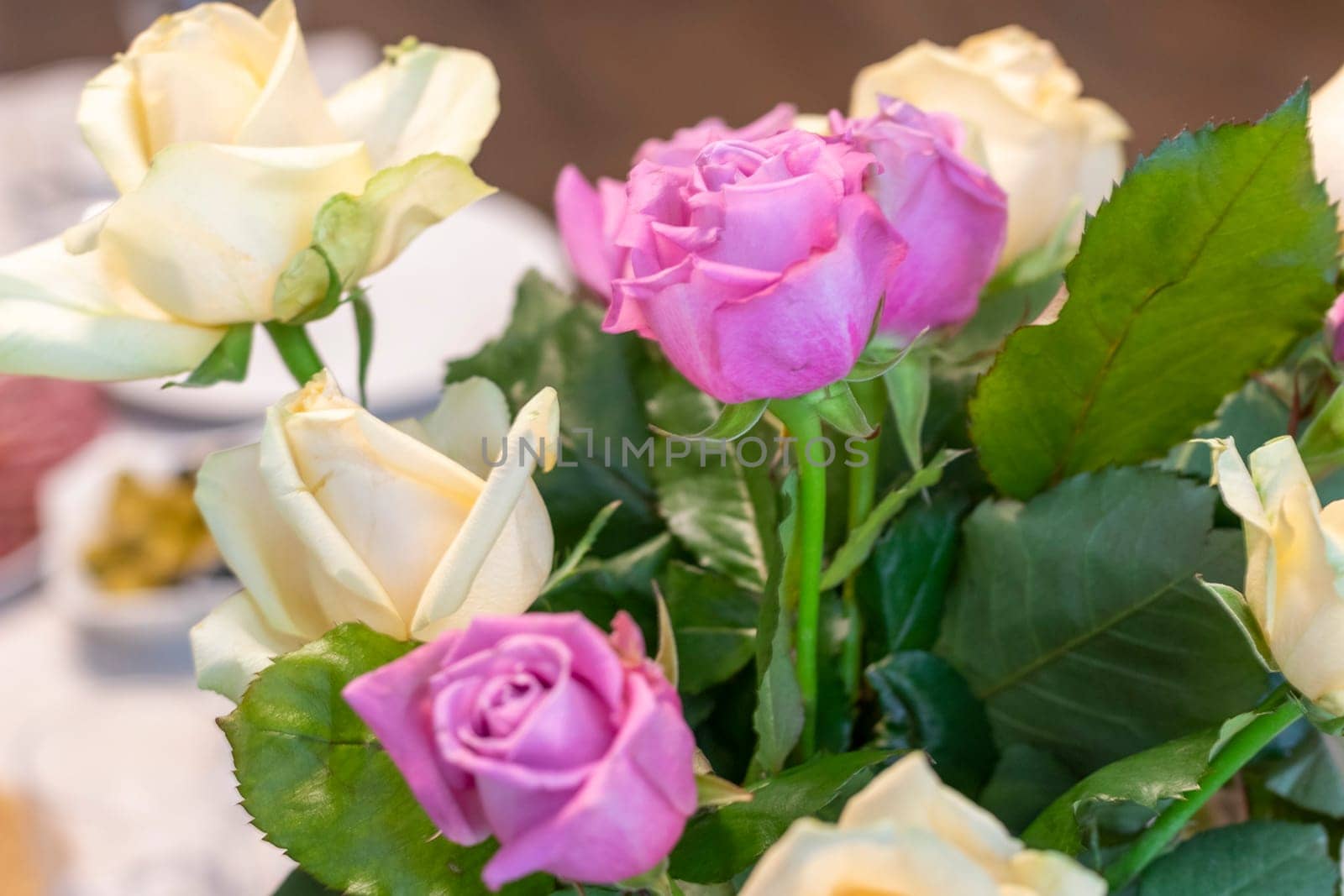 Close up shot of white and purple roses
