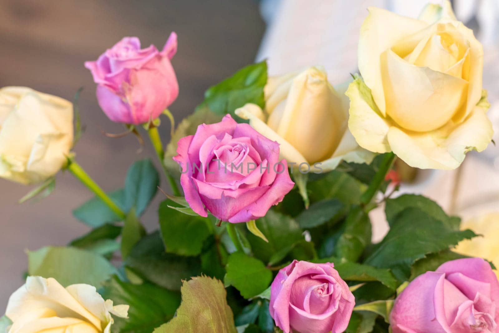 Close up shot of white and purple roses