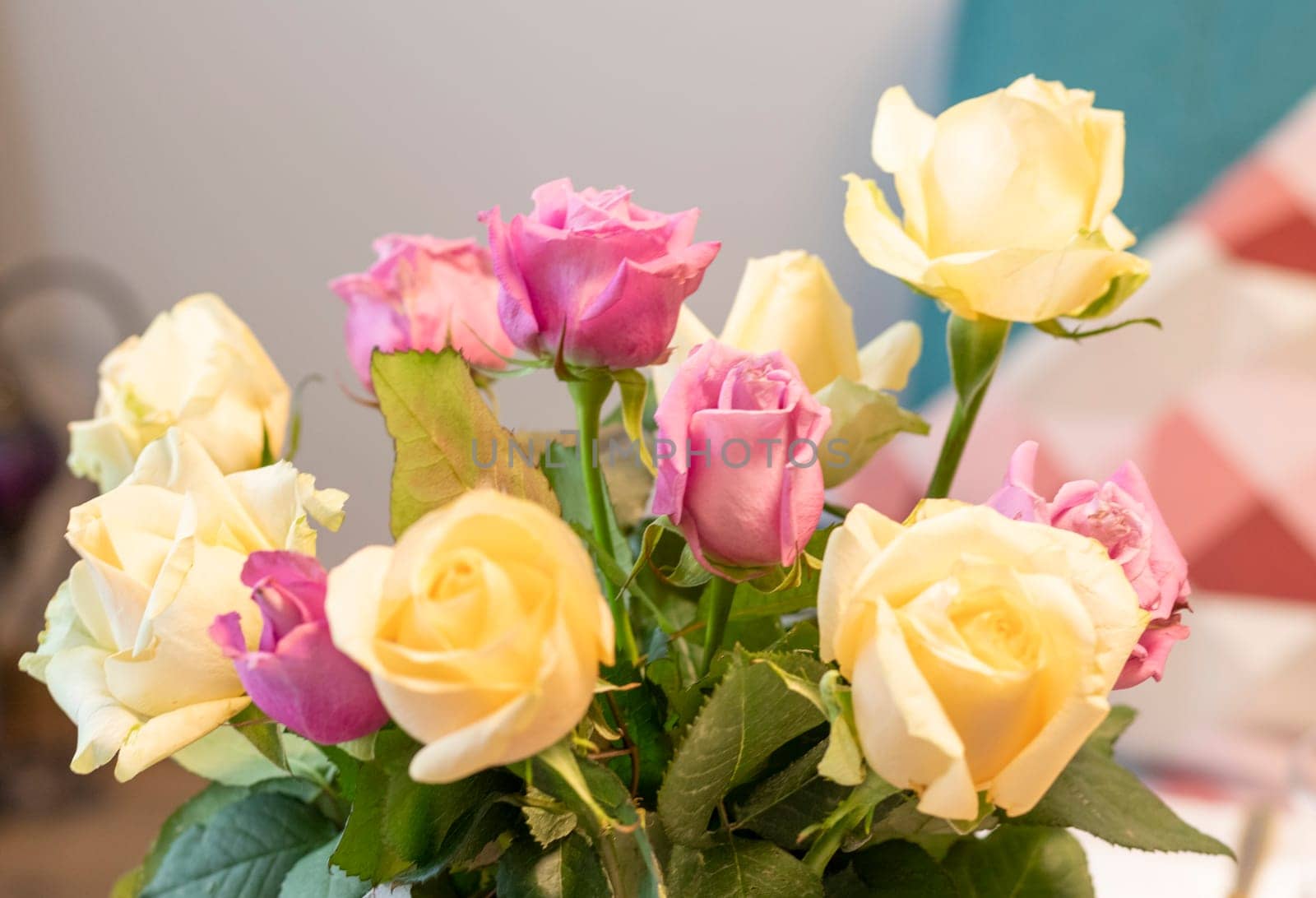 Close up shot of white and purple roses