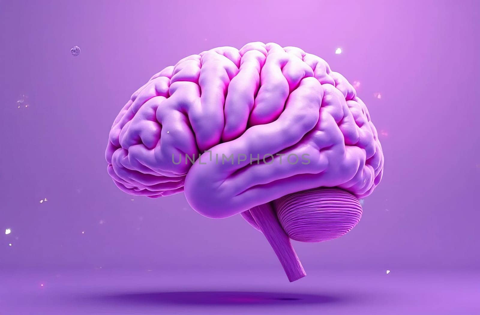 Visualization of the structure and shape of the human brain in shades of purple. Anatomical features and aesthetic appeal of the most complex organ.