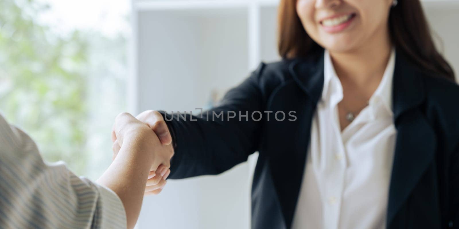 Two professional businesswoman executive leaders shaking hands at office meeting.