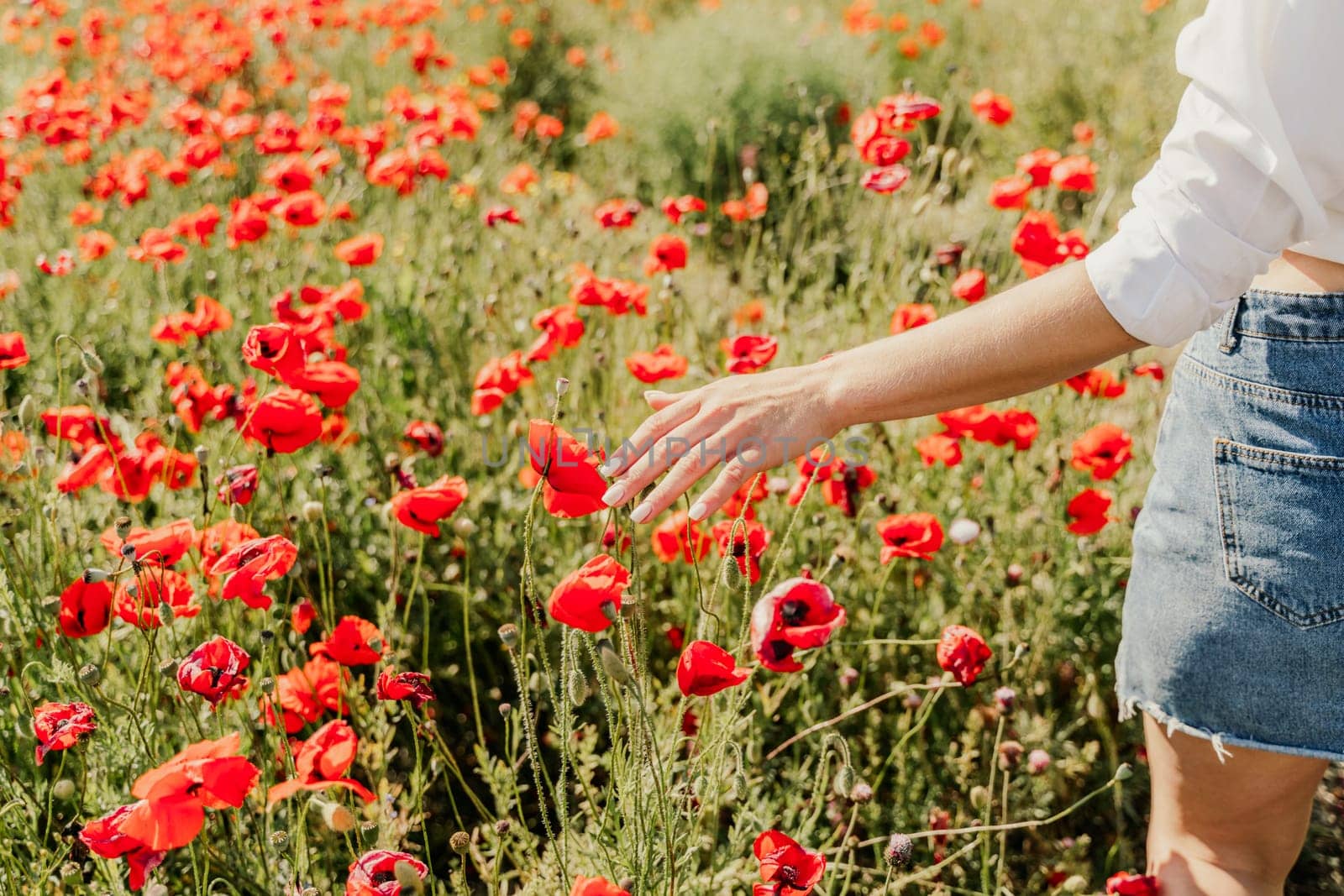 Woman hand poppies field. Close up of woman hand touching poppy flower in a field. by Matiunina