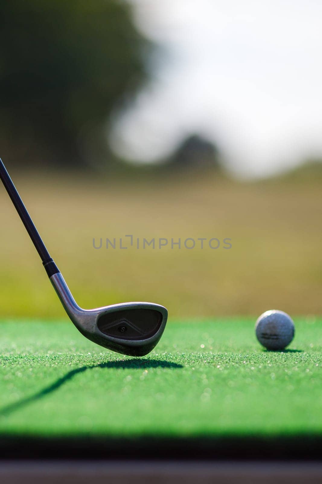 Balls on a golf driving range for training