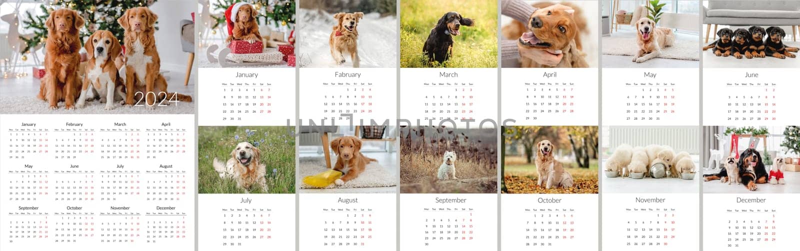 2024 year Photo calendar with cute dogs by tan4ikk1