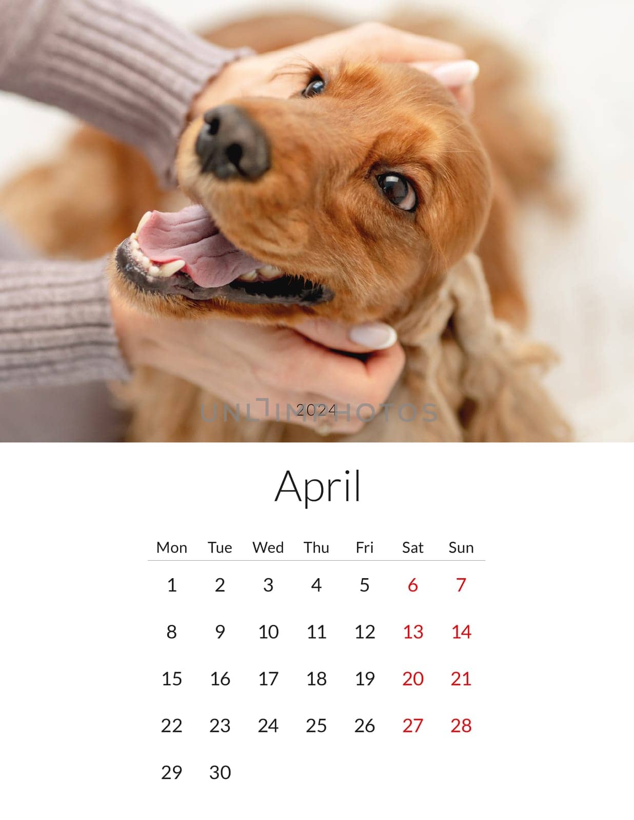 2024 year Photo calendar with cute dogs by tan4ikk1