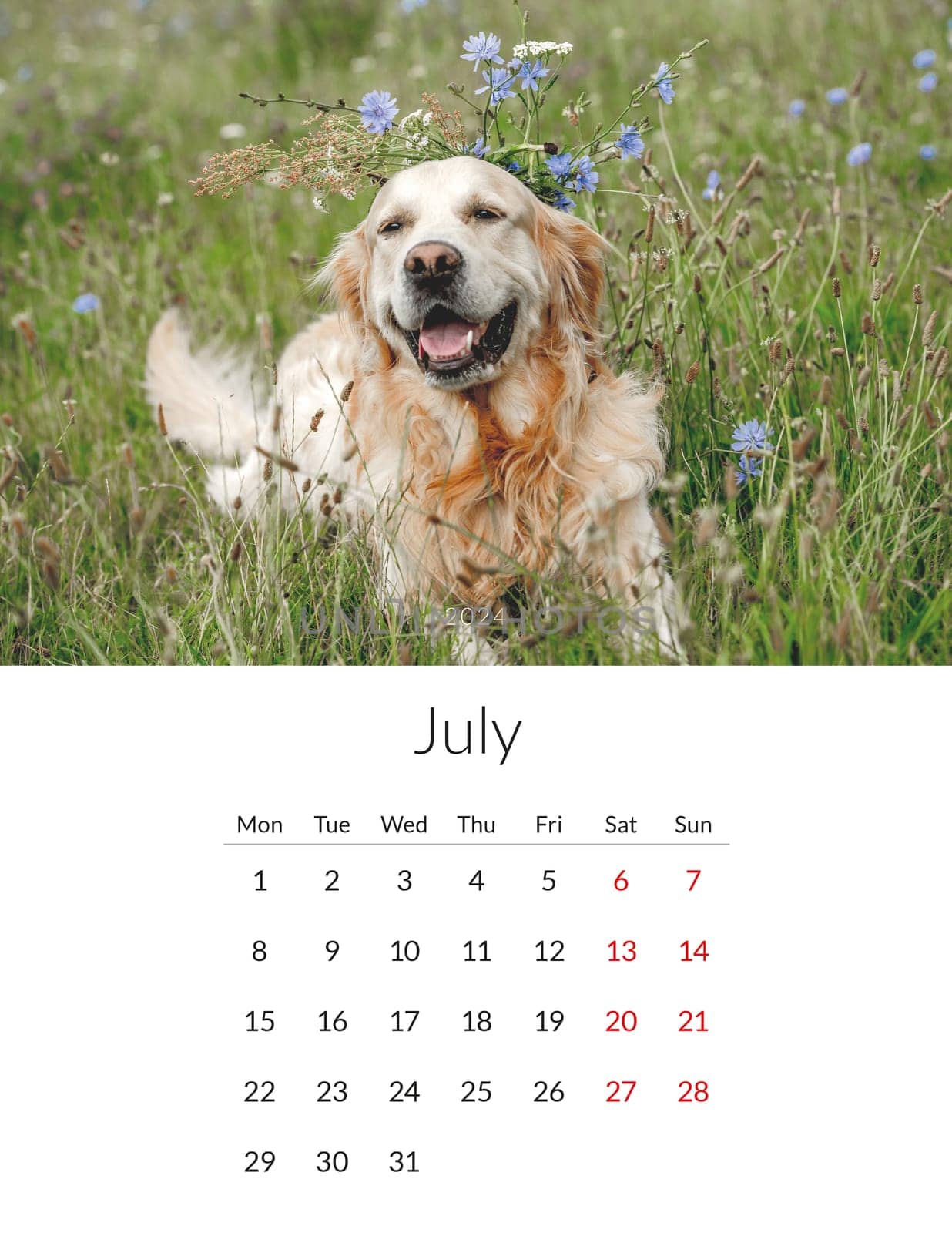 2024 year Photo calendar with cute dogs by tan4ikk1