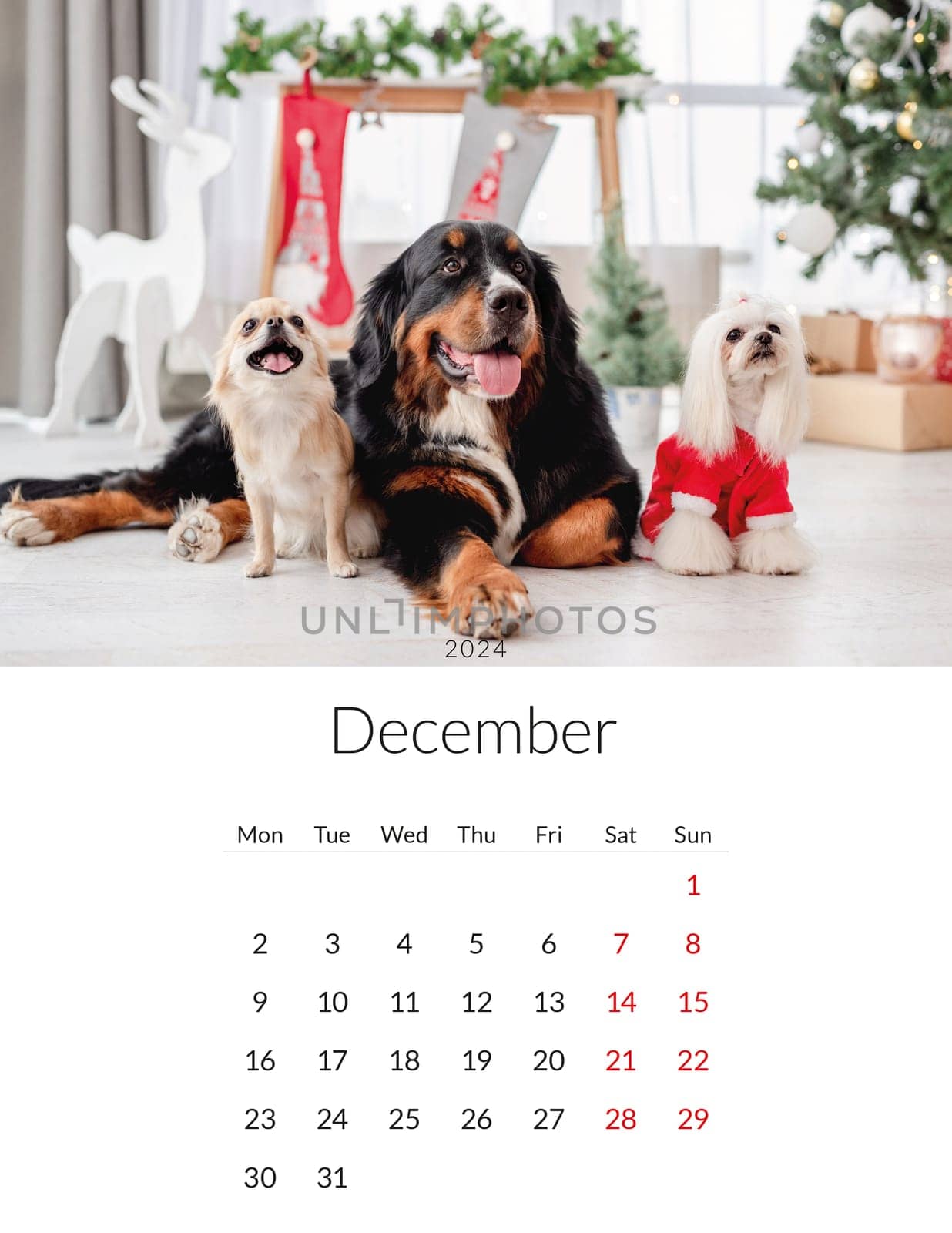 2024 year Photo calendar with cute dogs by tan4ikk1