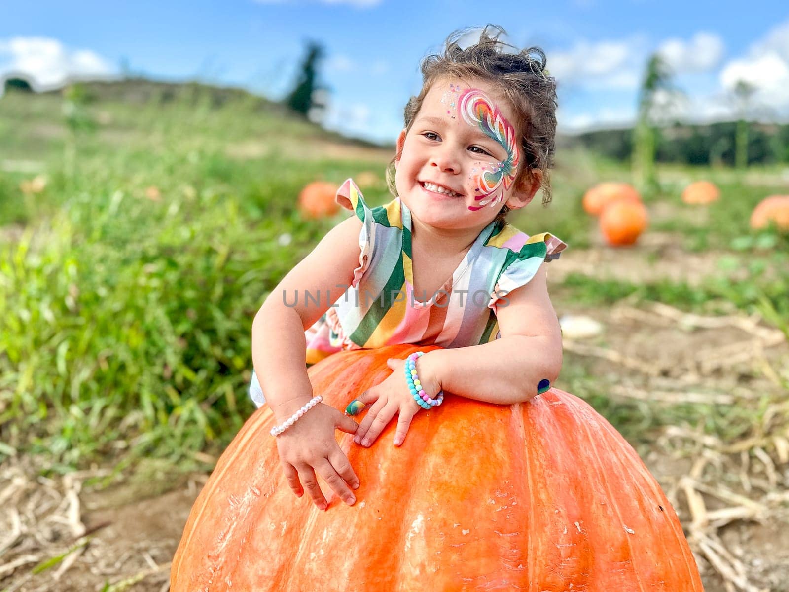 Little girl picking pumpkins on Halloween pumpkin patch. Child playing in field of squash. by Bonandbon