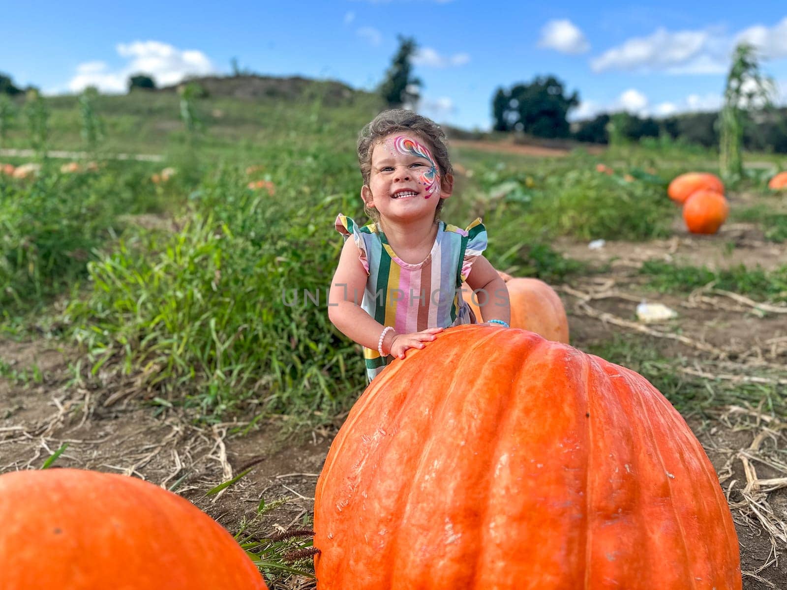 Little girl picking pumpkins on Halloween pumpkin patch. Child playing in field of squash, Thanksgiving holiday season.