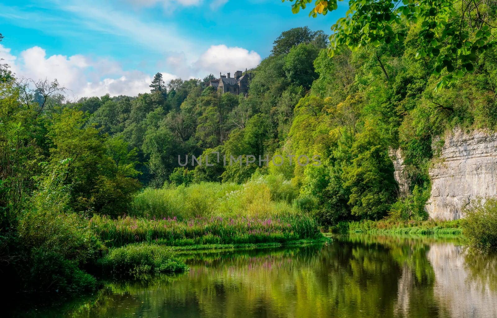 lake in the forest and  amazing view of castle  in Peak District