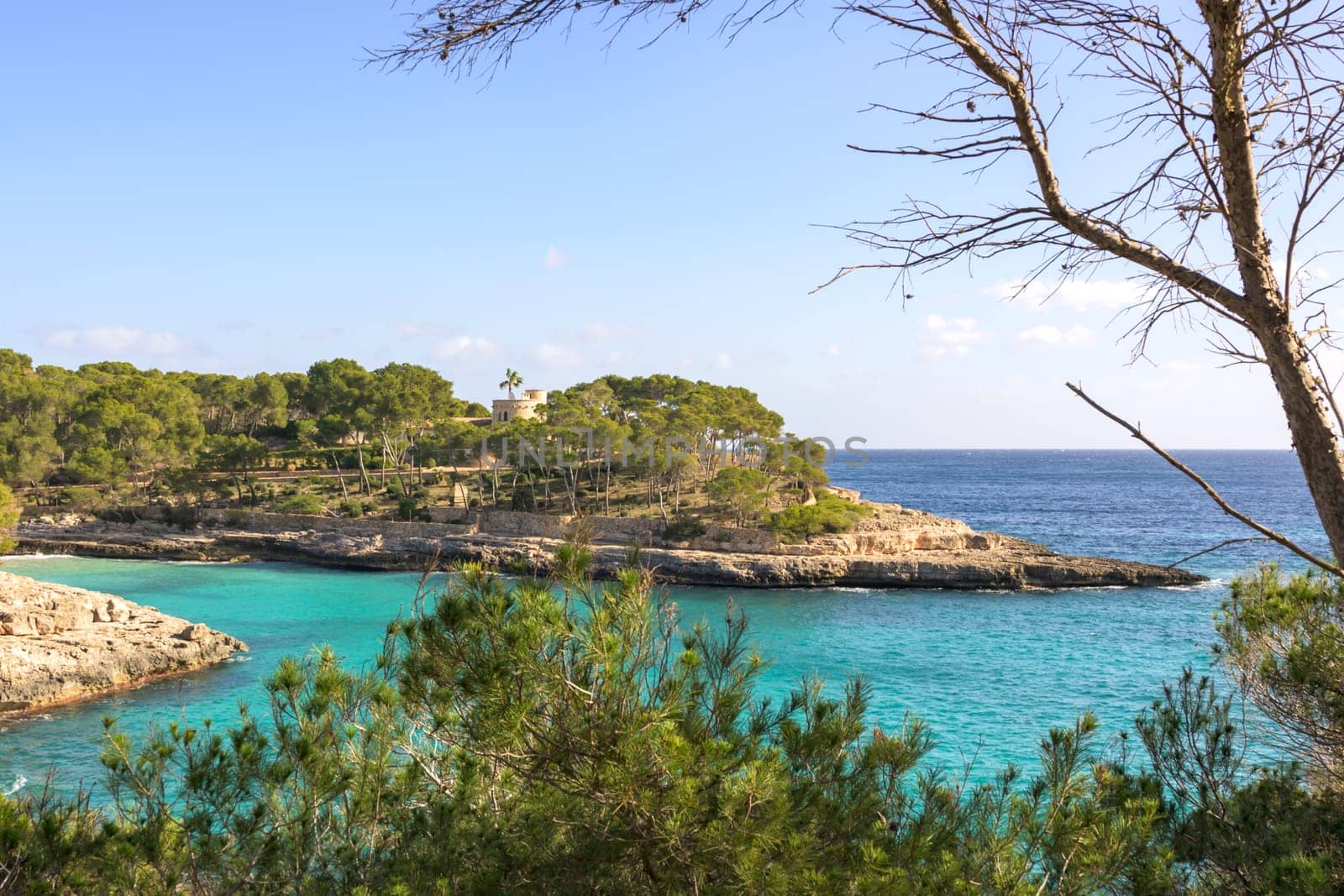 View of rocky shoreline with lush trees and calm blue sea, cala mondrago, mallorca, balearic island, spain,