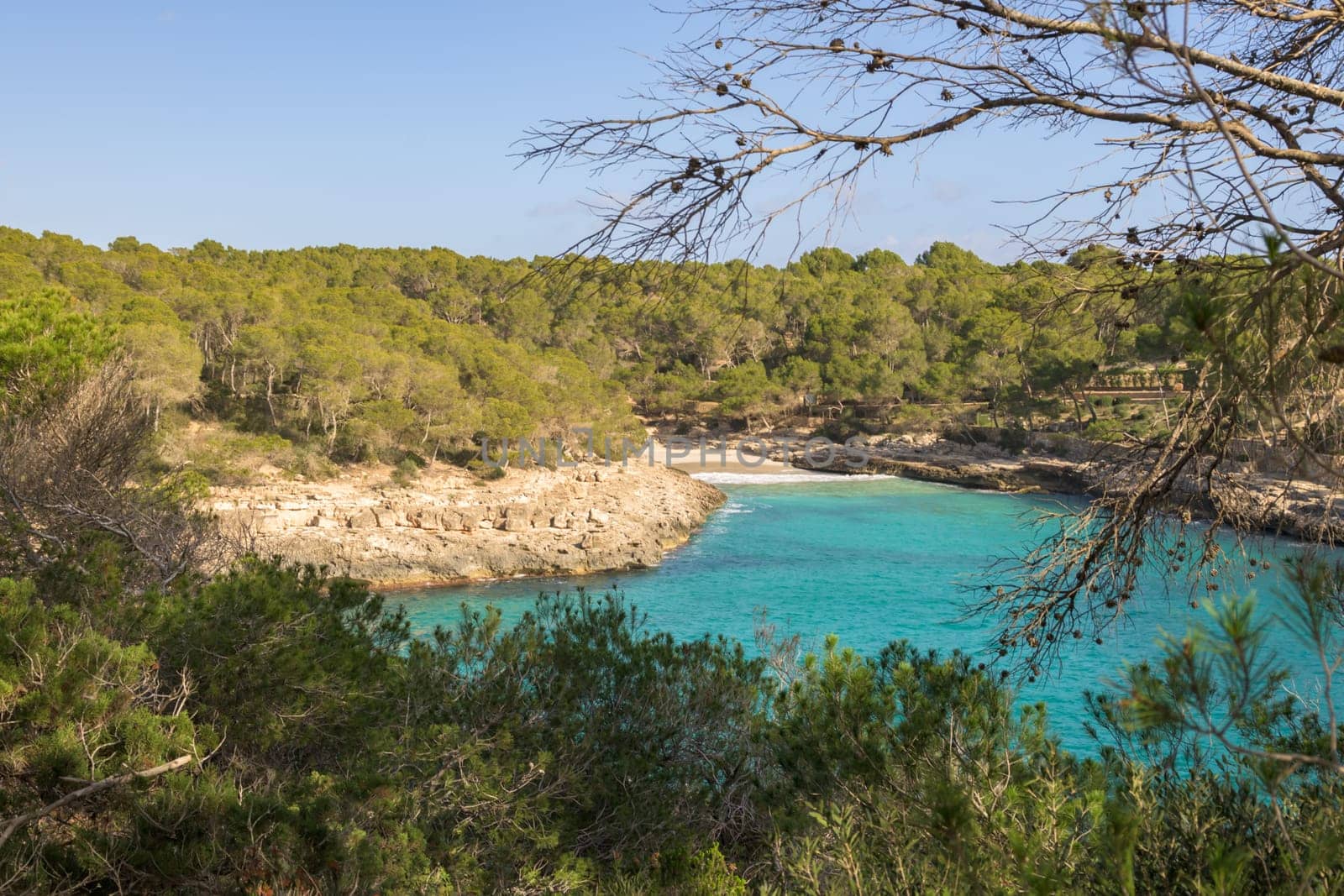 Calm bay with turquoise water surrounded by thick forest, cala mondrago, mallorca, balearic island, spain,
