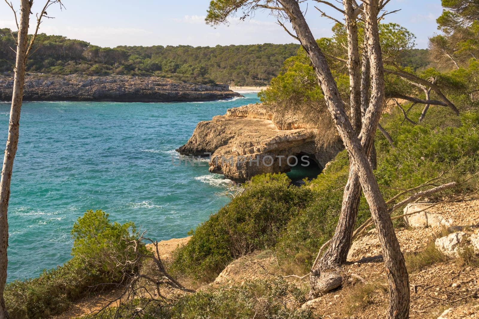 Rocky coastline with trees and waves lapping against the shore, cala mondrago, mallorca, balearic island, spain,