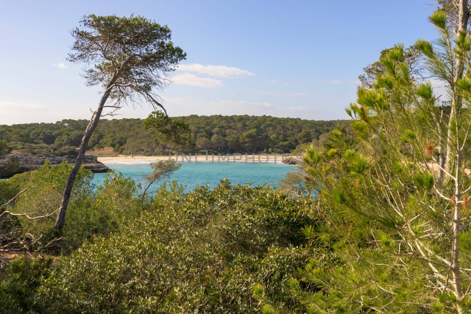 Vast view of green forest meeting turquoise sea under blue sky, cala mondrago, mallorca, balearic island, spain,