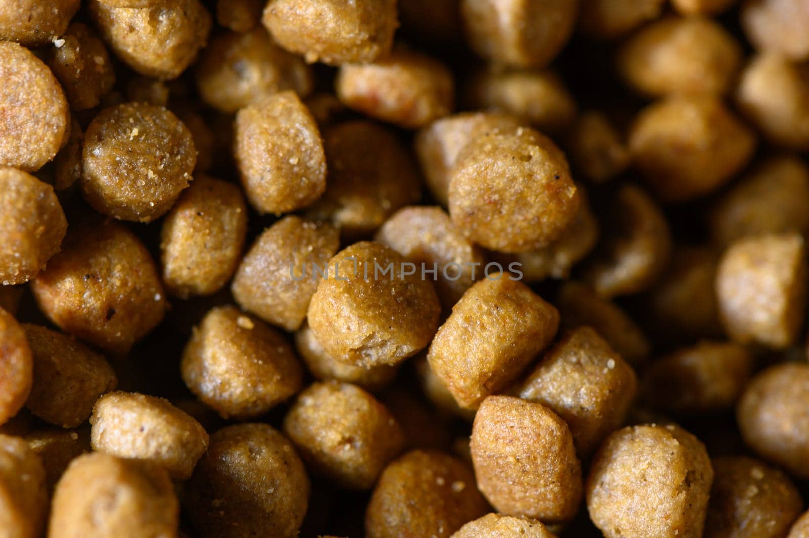 High-quality pet food boasts rich textures and golden hues, showing care for furry friends at lunchtime.